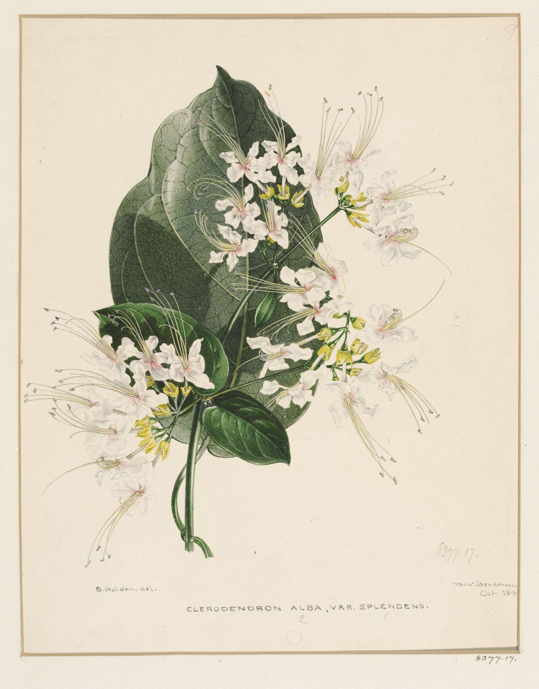 Drawing, Samuel Holden, 1842