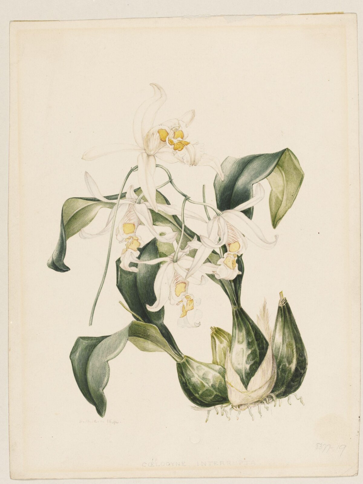 Drawing, Samuel Holden, 1840