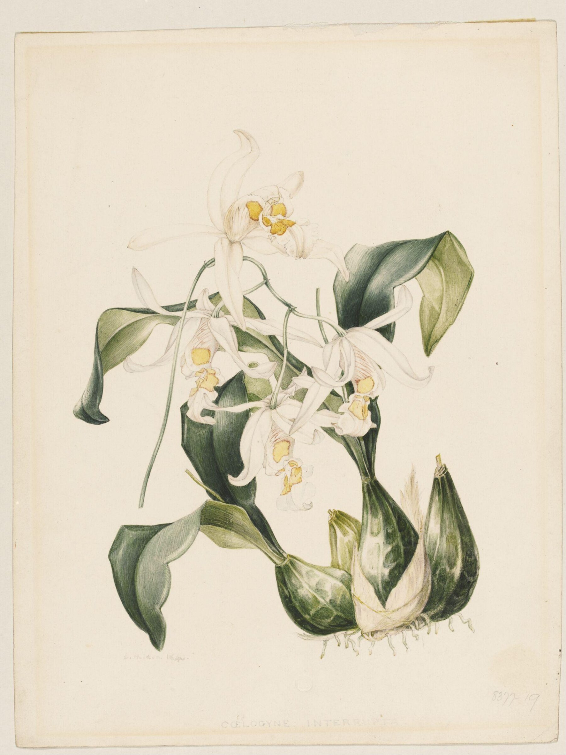 Drawing, Samuel Holden, 1840
