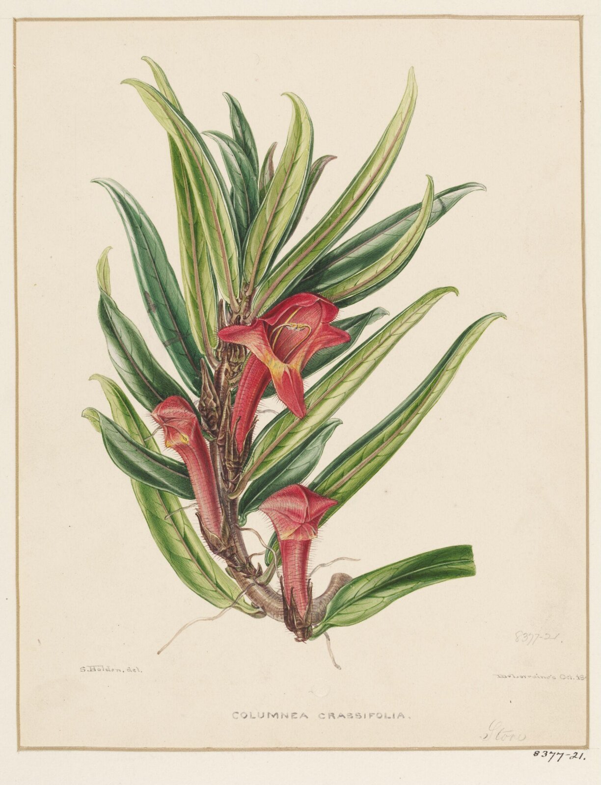 Drawing, Samuel Holden, October 1846