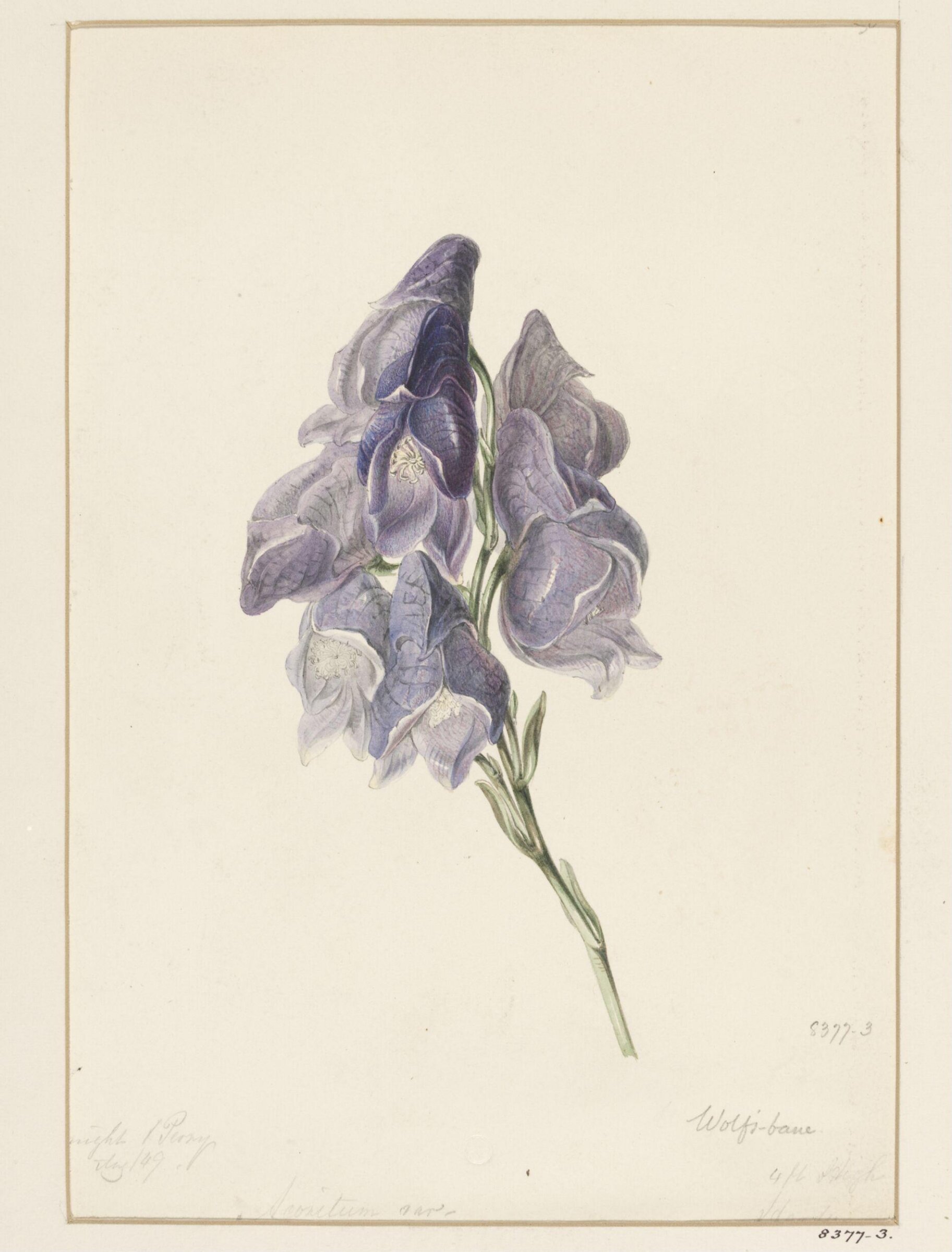 Drawing, Samuel Holden, 1837-47