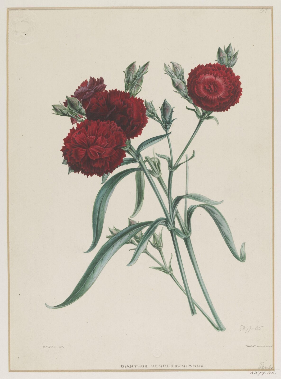 Drawing, Samuel Holden, 1837-47