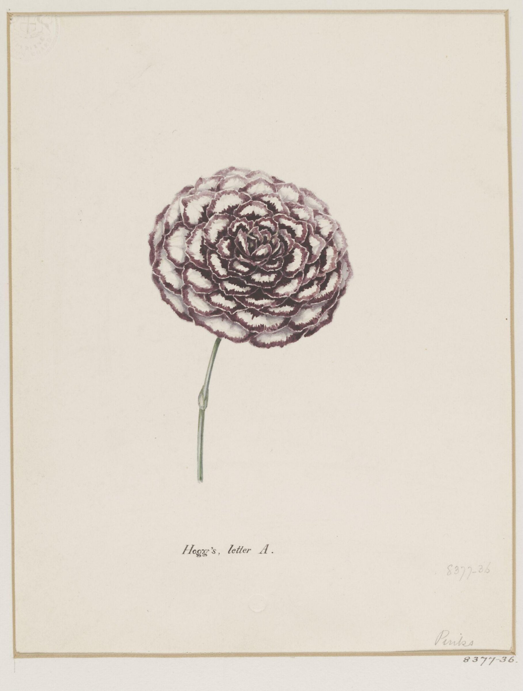 Drawing, Samuel Holden, 1837-47