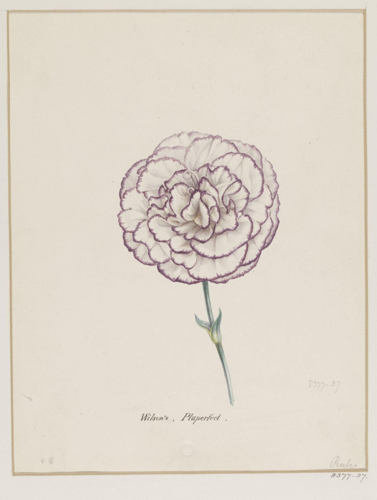 Drawing, Samuel Holden, 1837-47