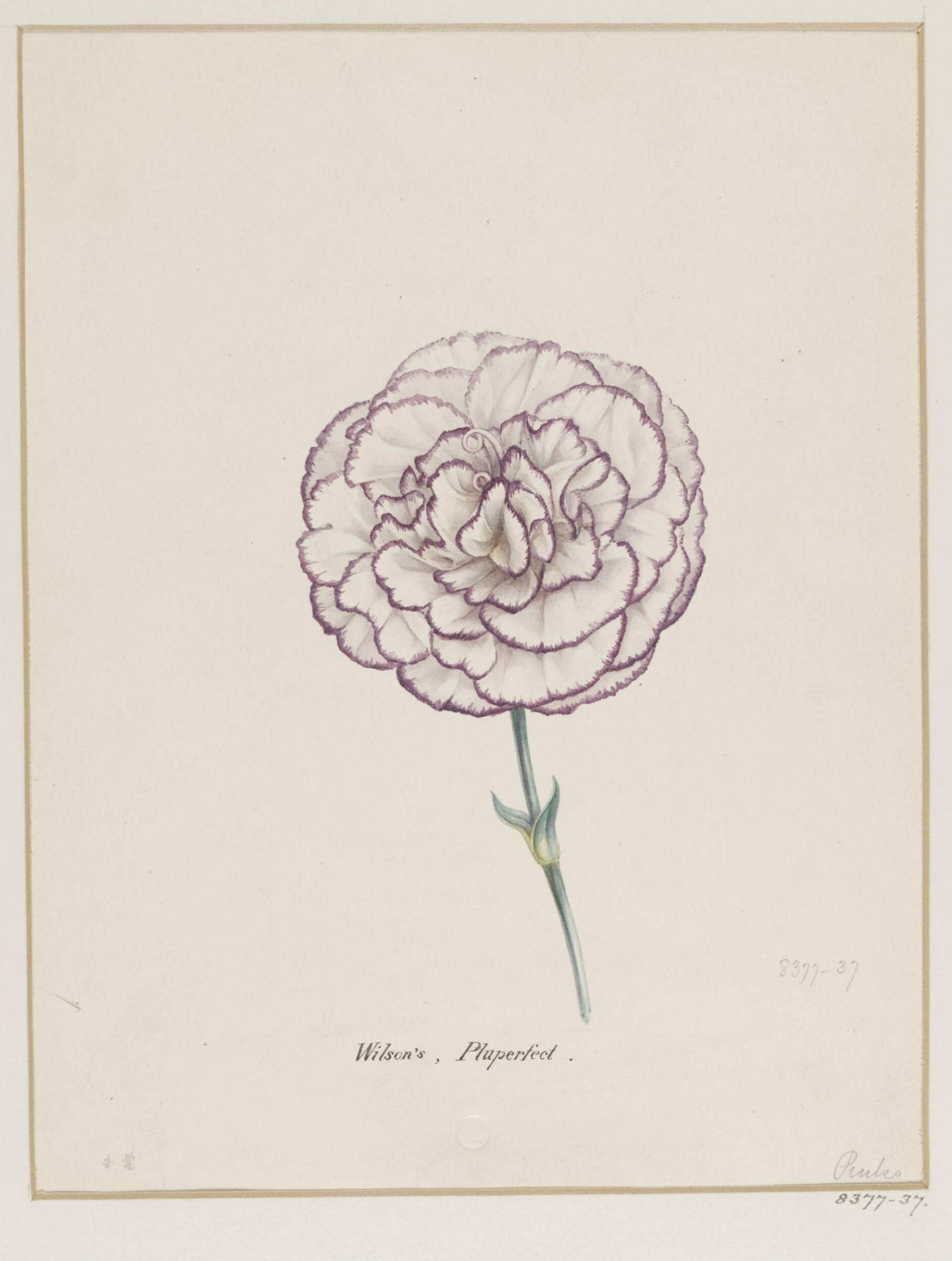 Drawing, Samuel Holden, 1837-47