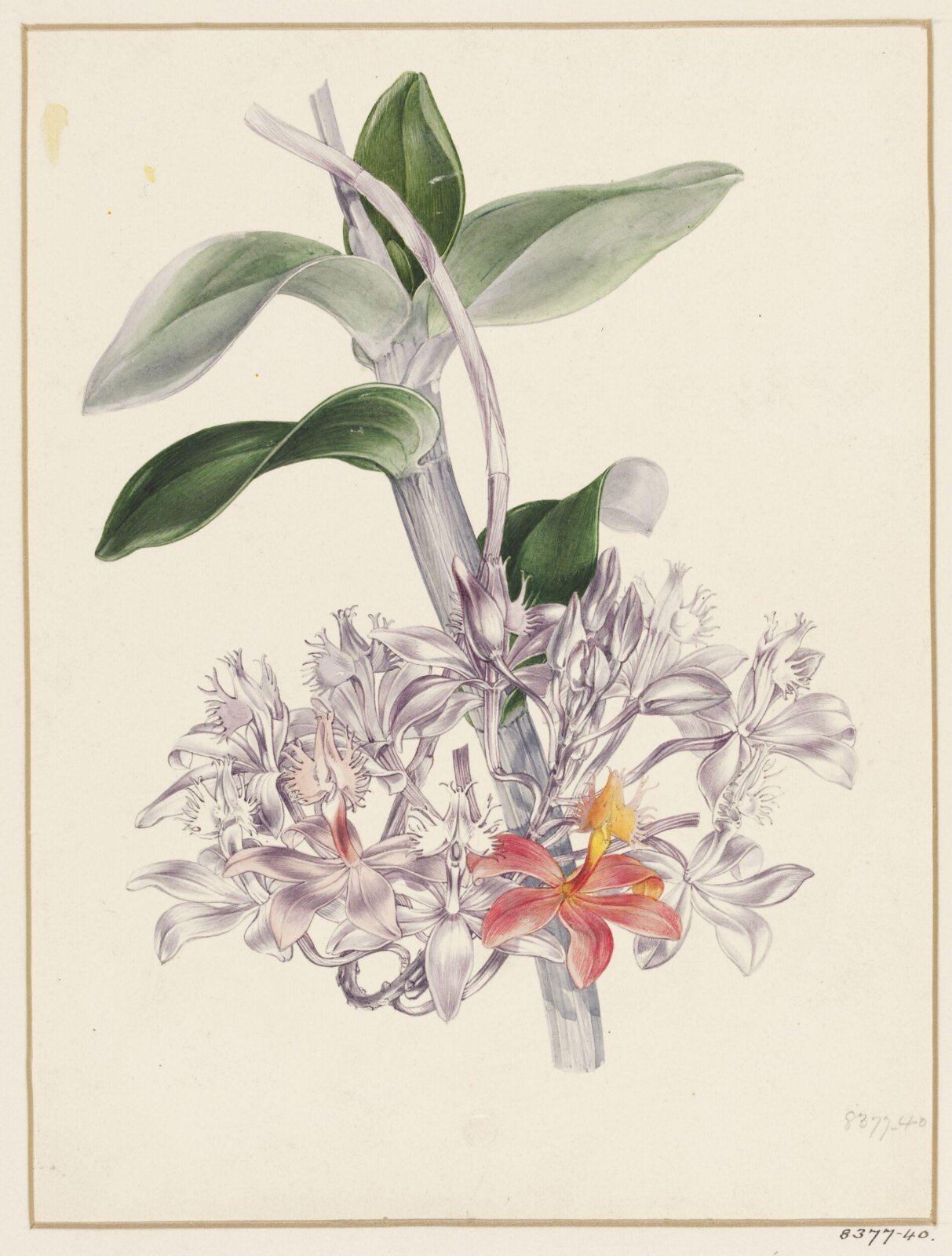 Drawing, Samuel Holden, 1837-47