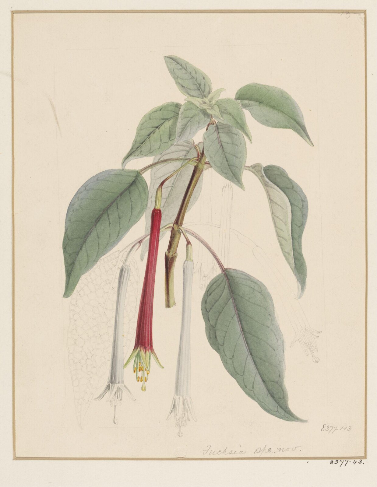 Drawing, Samuel Holden, 1837-47
