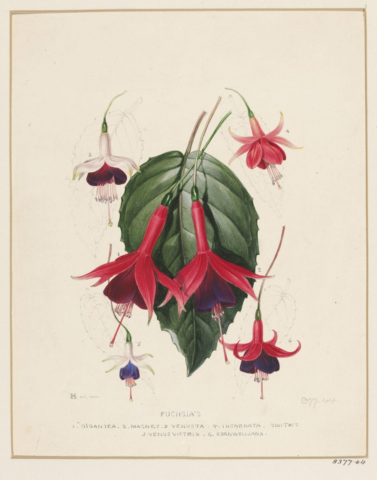 Drawing, Samuel Holden, 1843