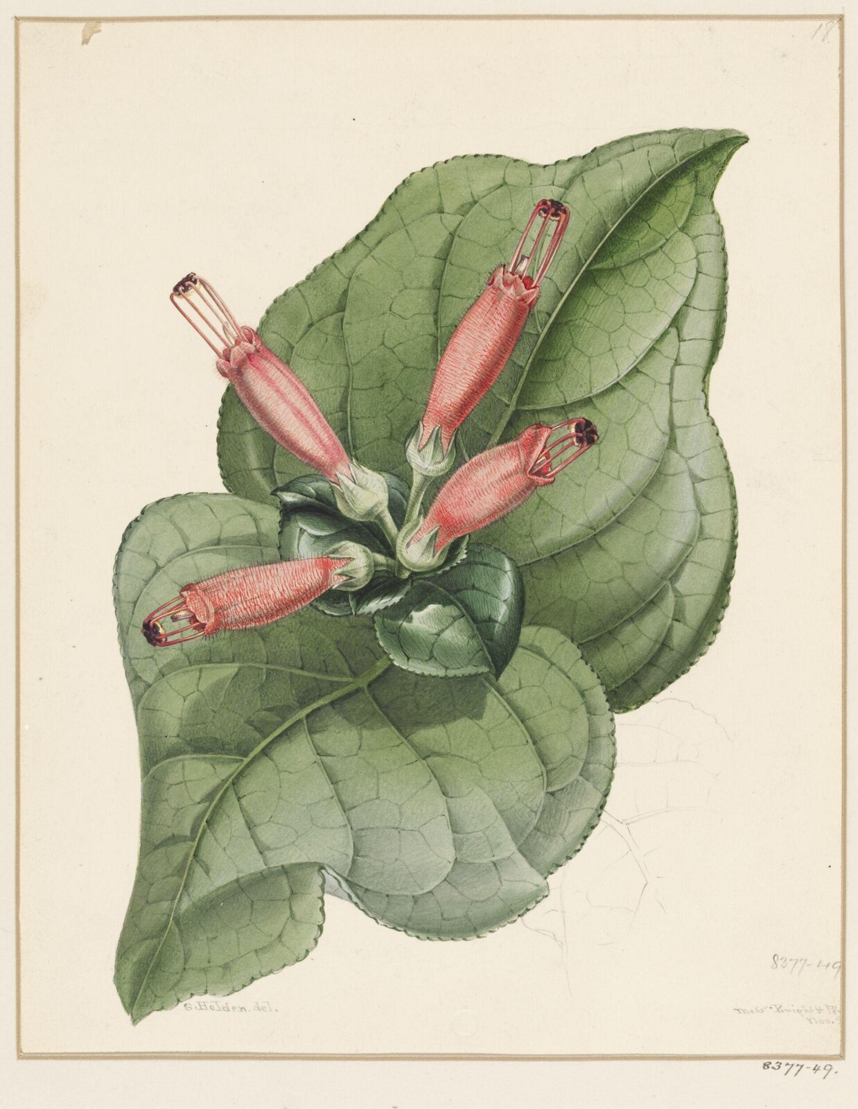 Drawing, Samuel Holden, 1837-47