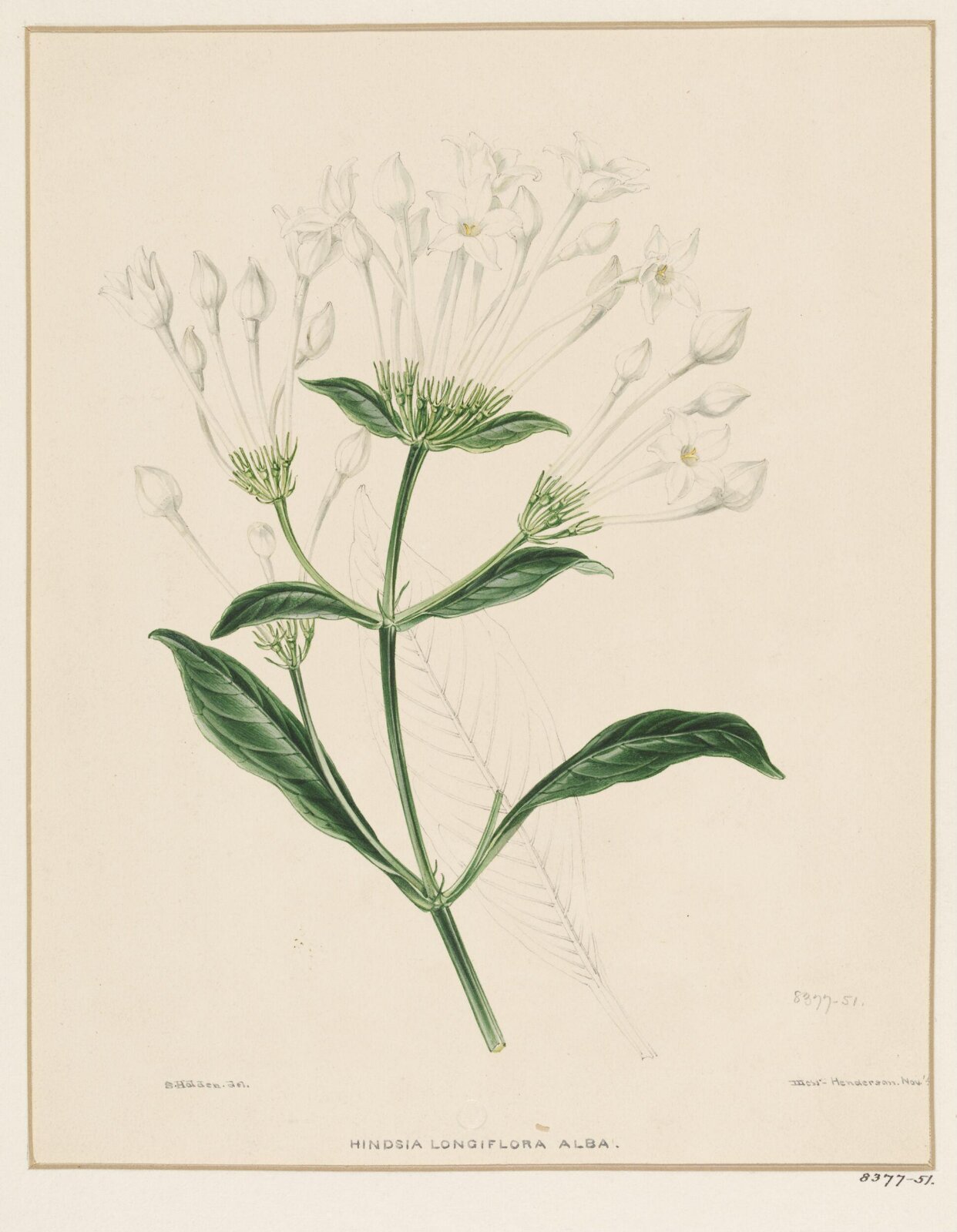 Drawing, Samuel Holden, August 1846