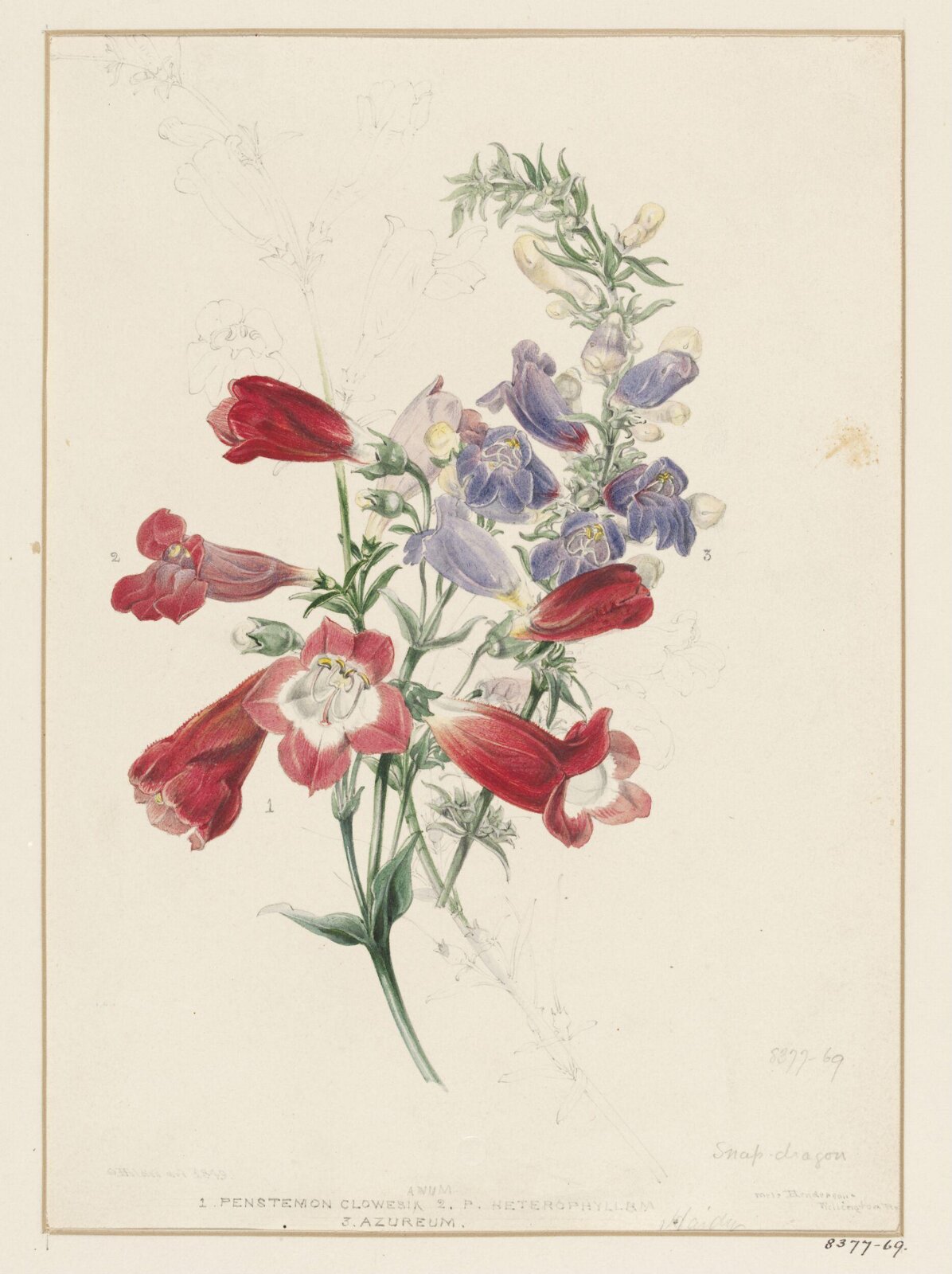 Drawing, Samuel Holden, 1849