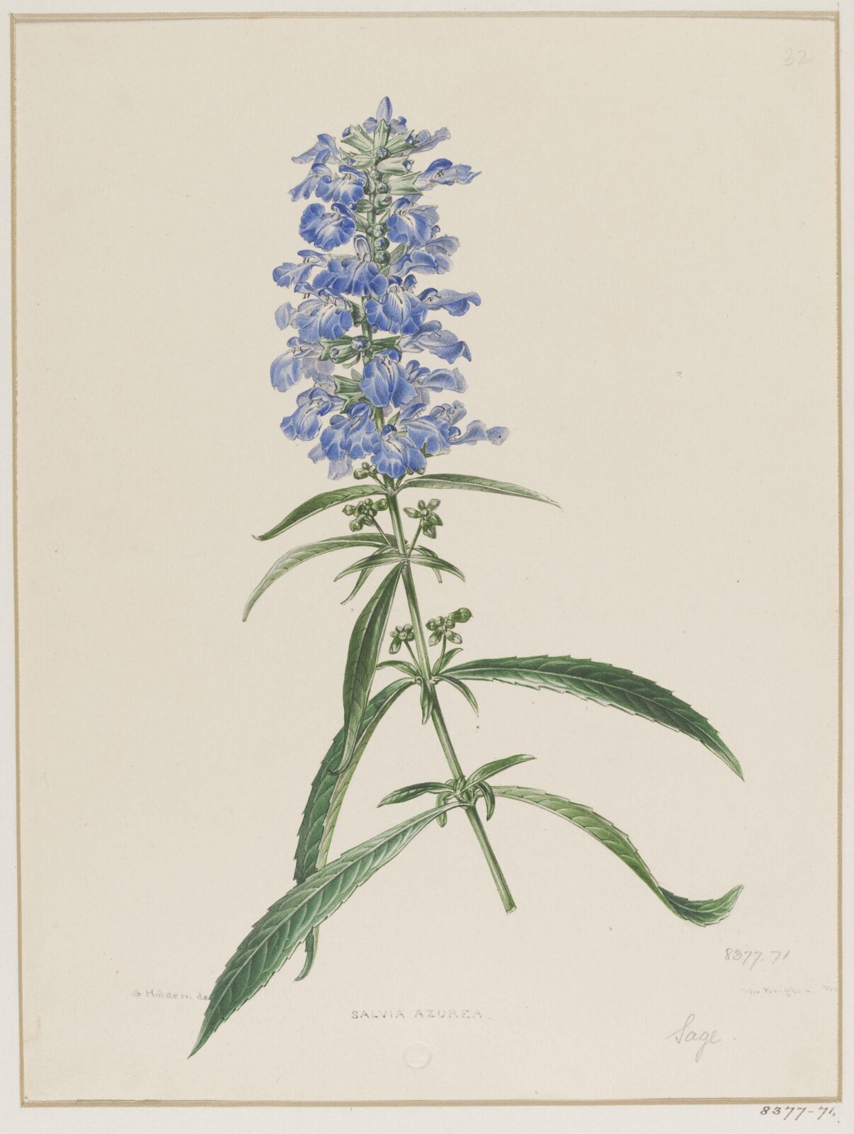 Drawing, Samuel Holden, 1837-47