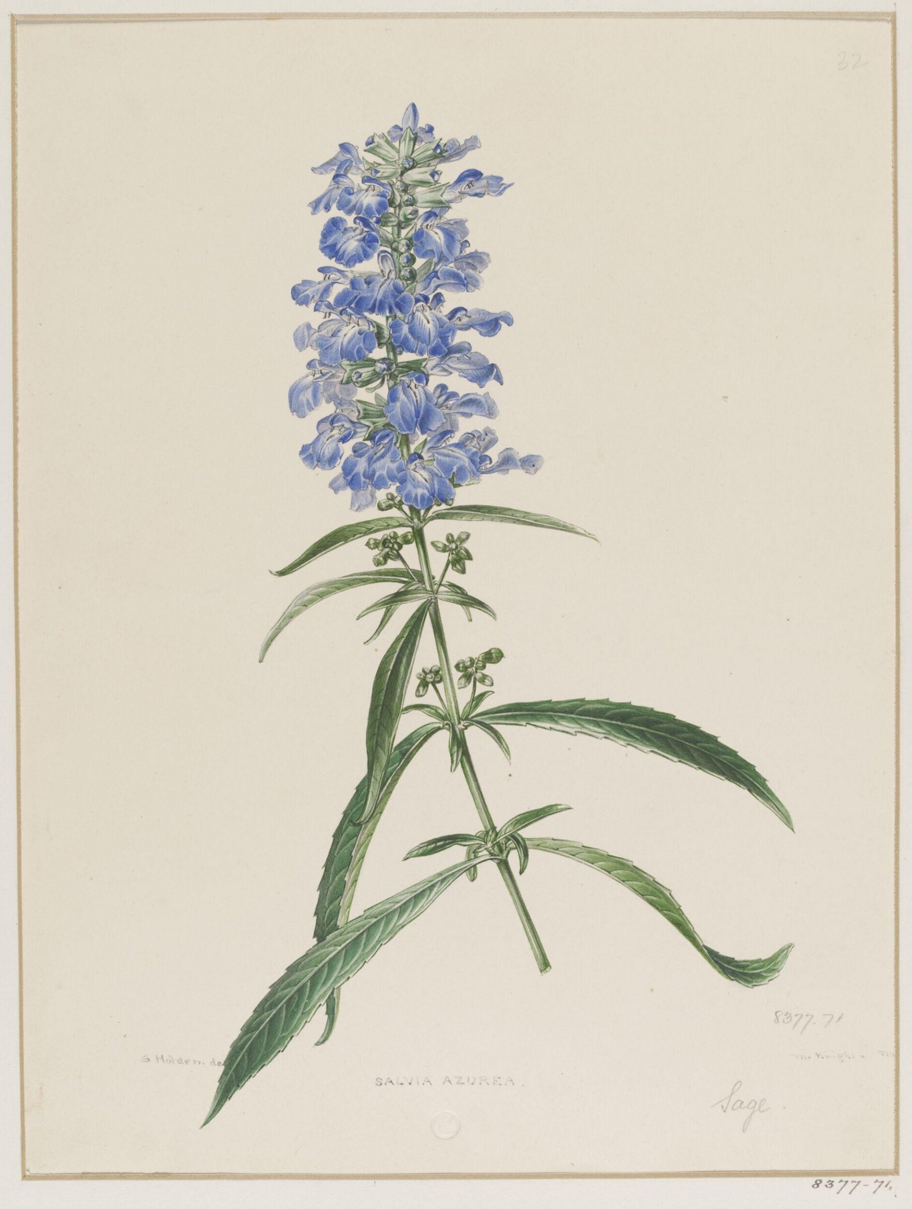 Drawing, Samuel Holden, 1837-47