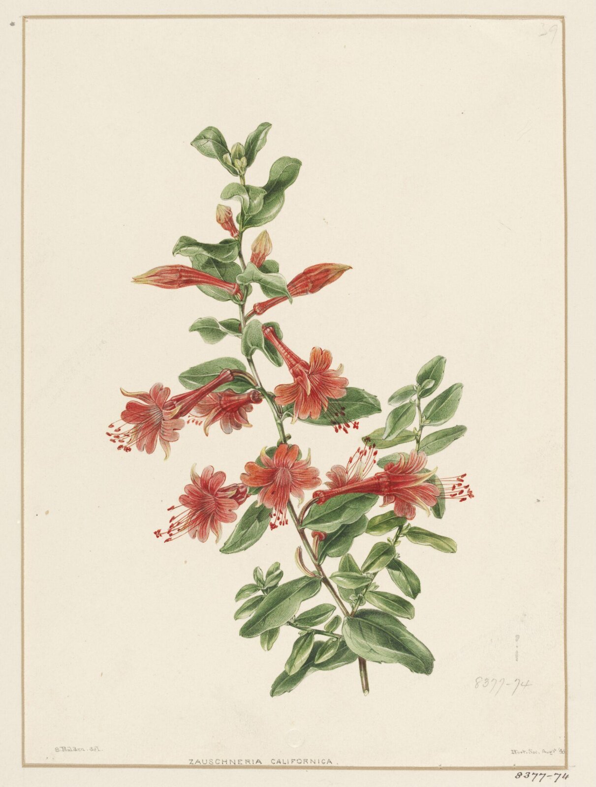 Drawing, Samuel Holden, 1848