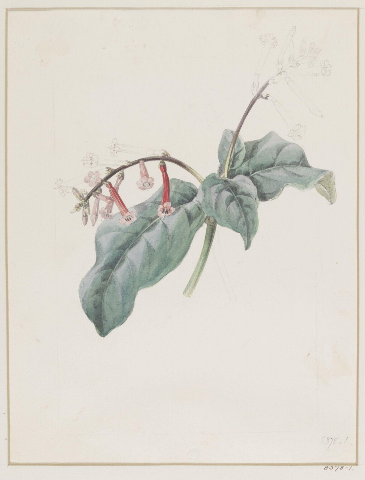 Drawing, Samuel Holden, 1837-47