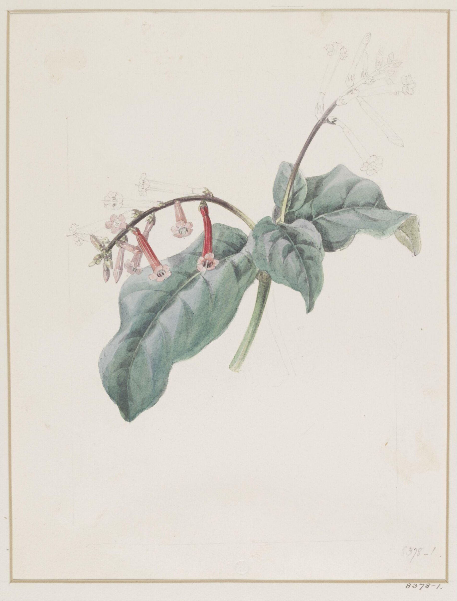 Drawing, Samuel Holden, 1837-47