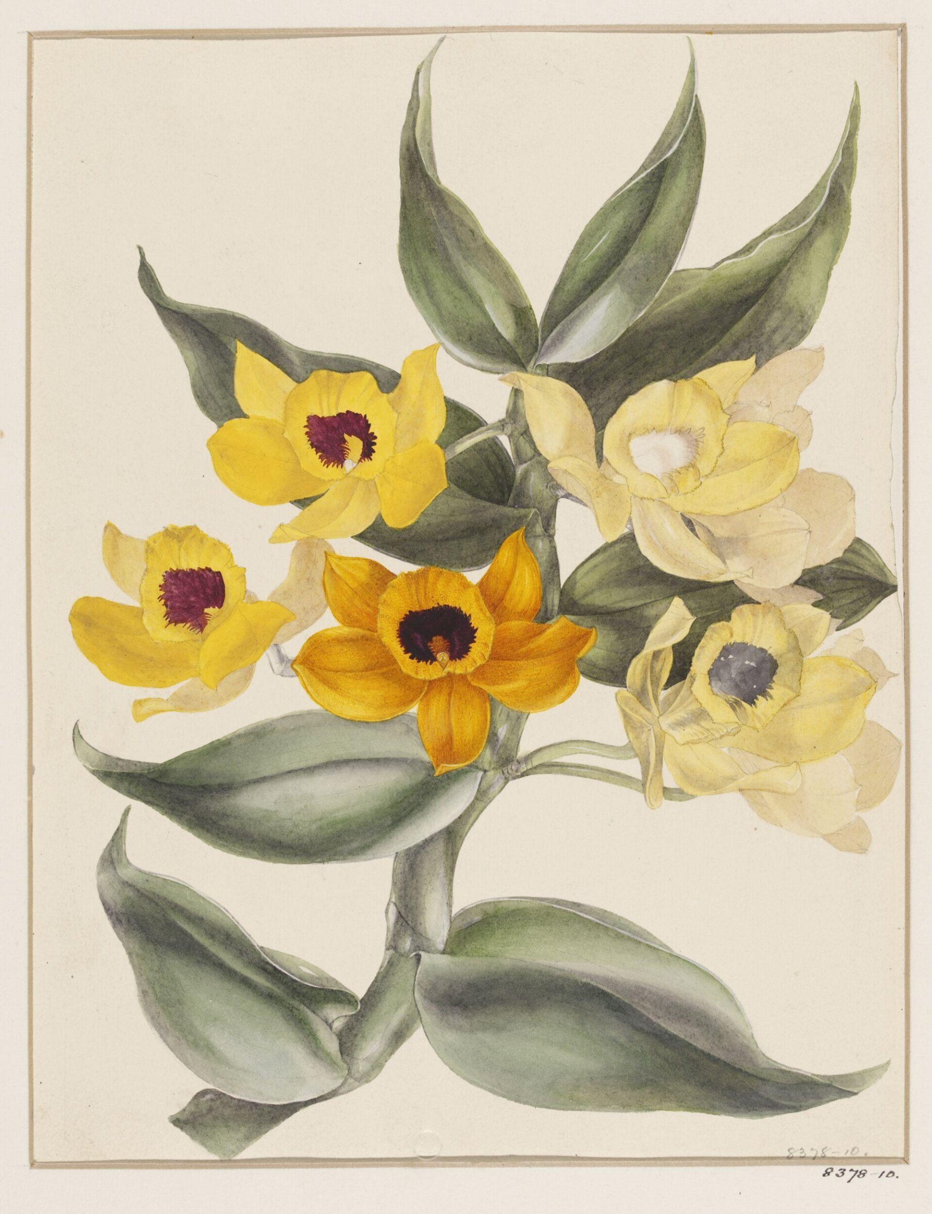 Drawing, Samuel Holden, 1837-47