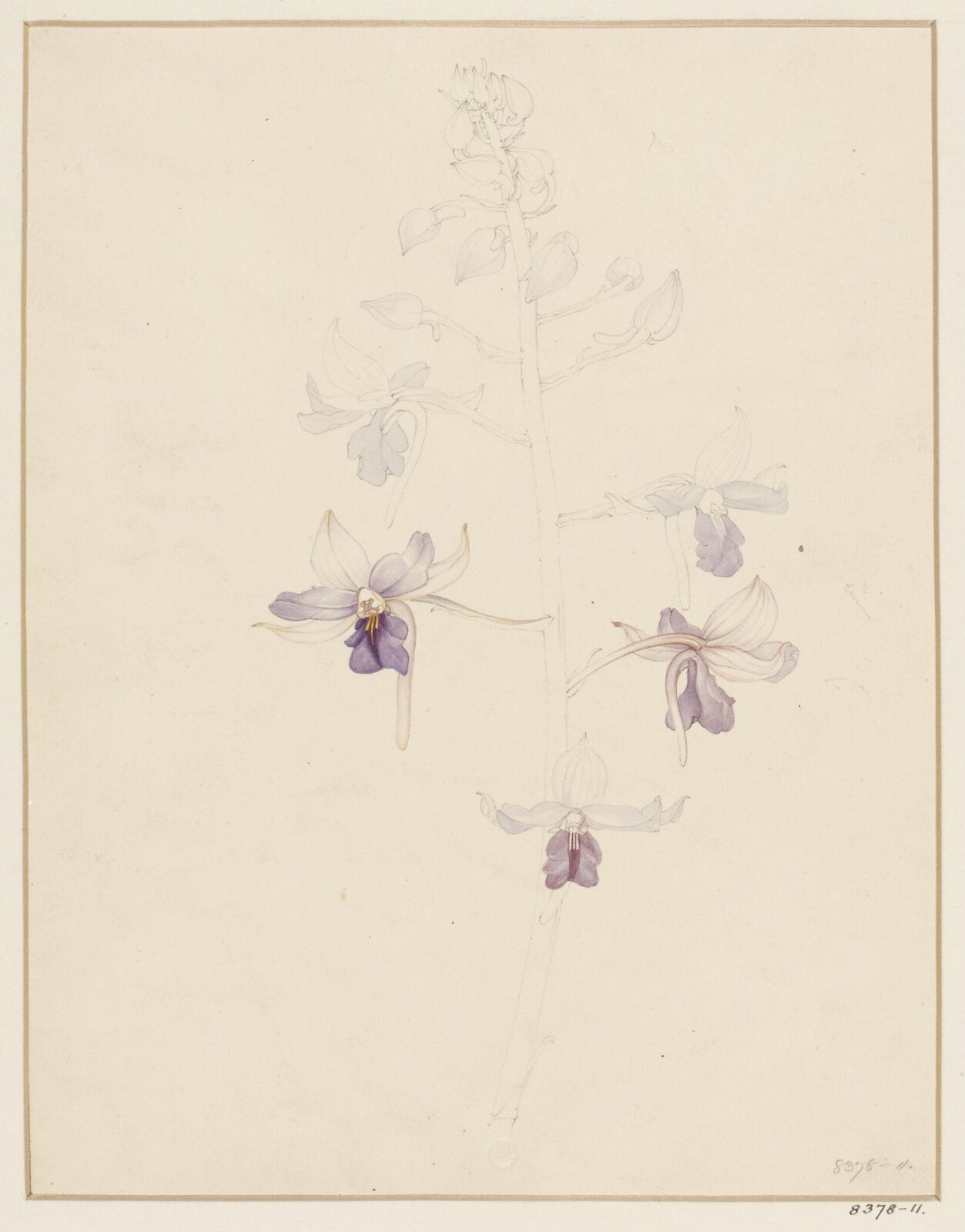 Drawing, Samuel Holden, 1837-47