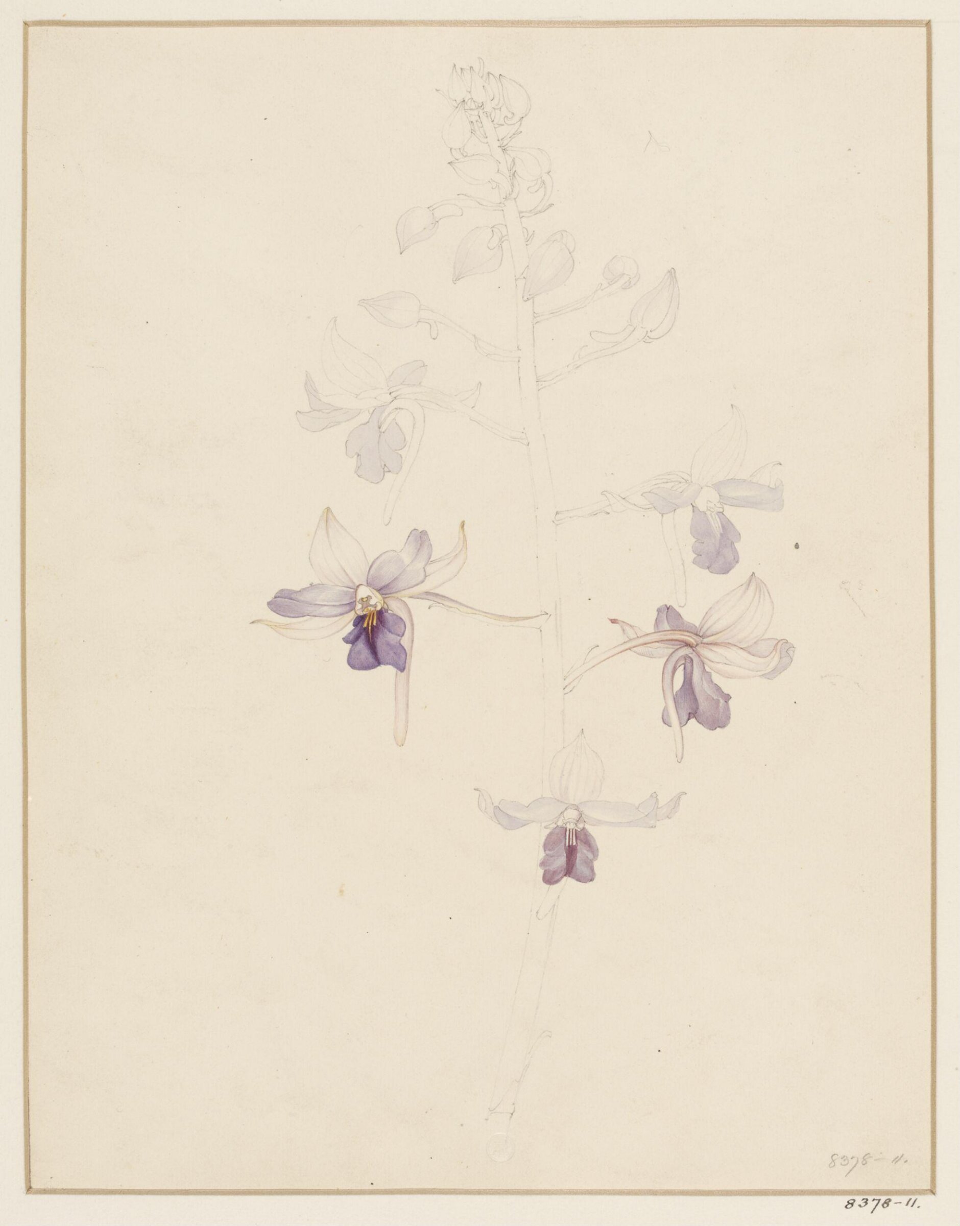 Drawing, Samuel Holden, 1837-47