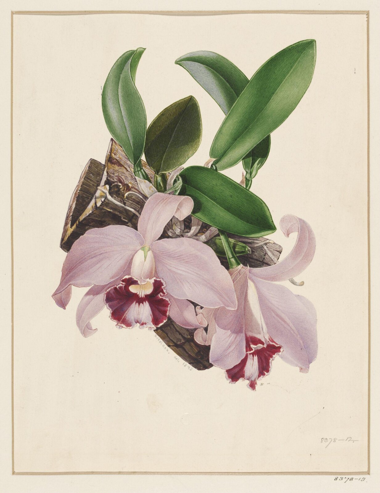 Drawing, Samuel Holden, 1843