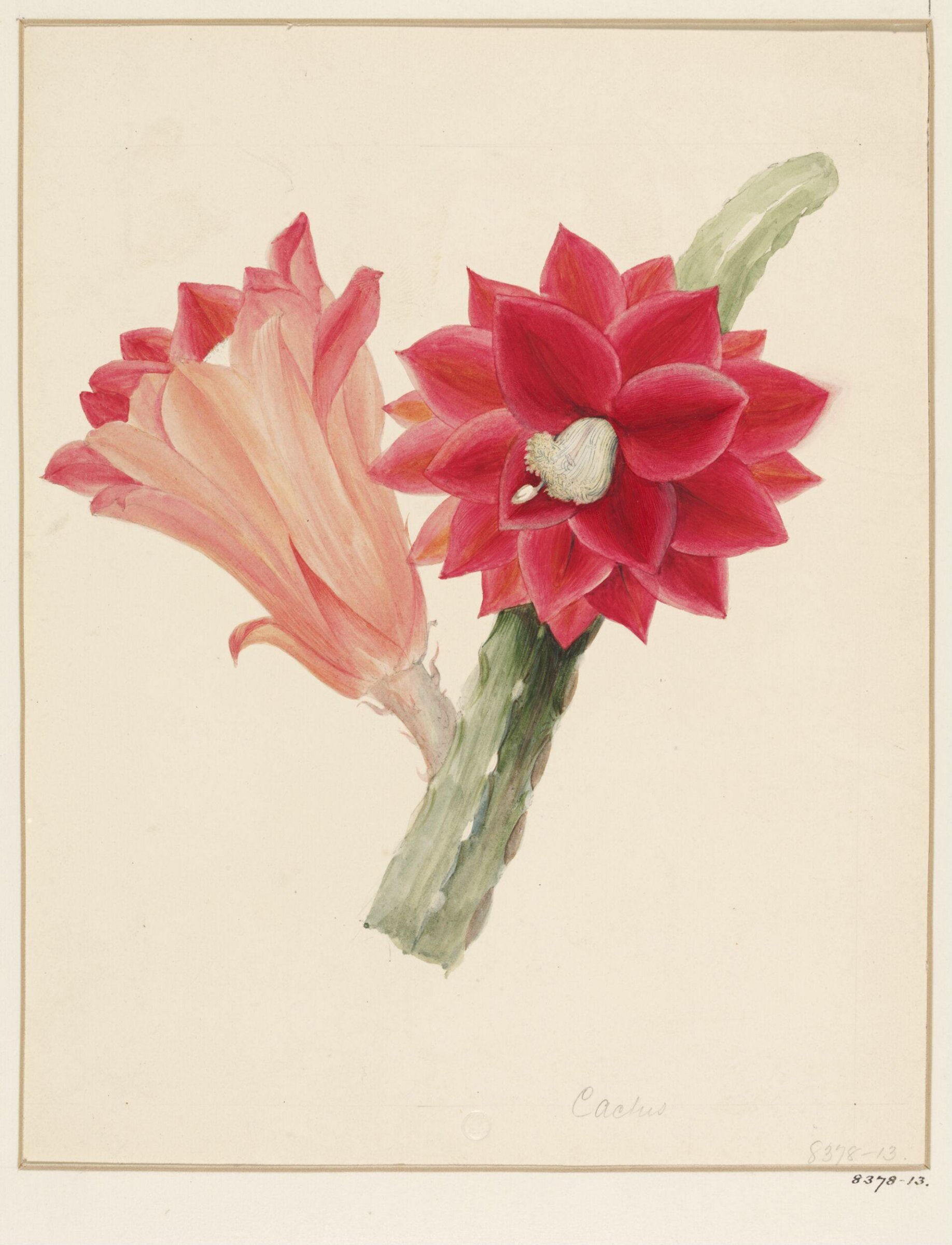 Drawing, Samuel Holden, 1837-47