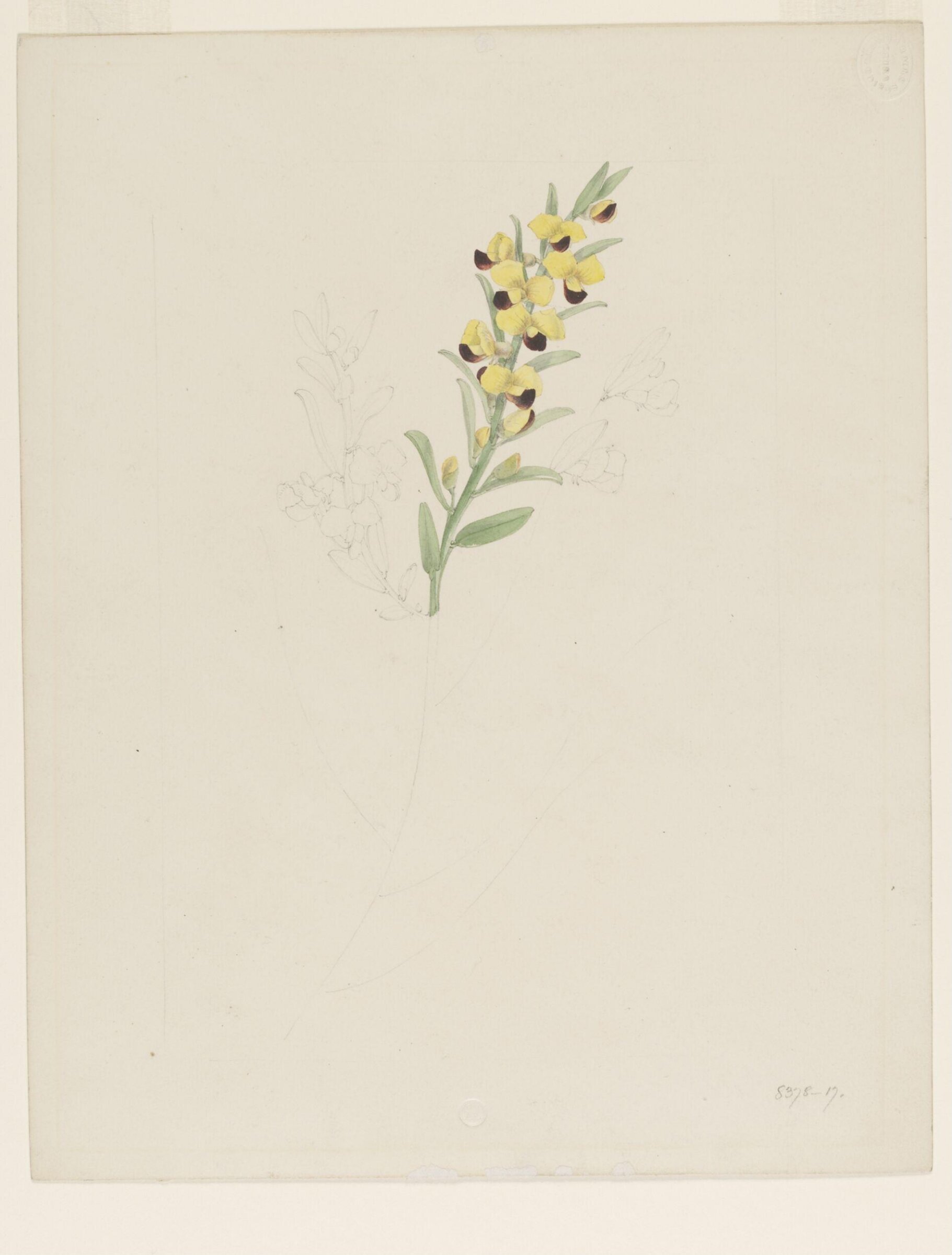 Drawing, Samuel Holden, 1837-47