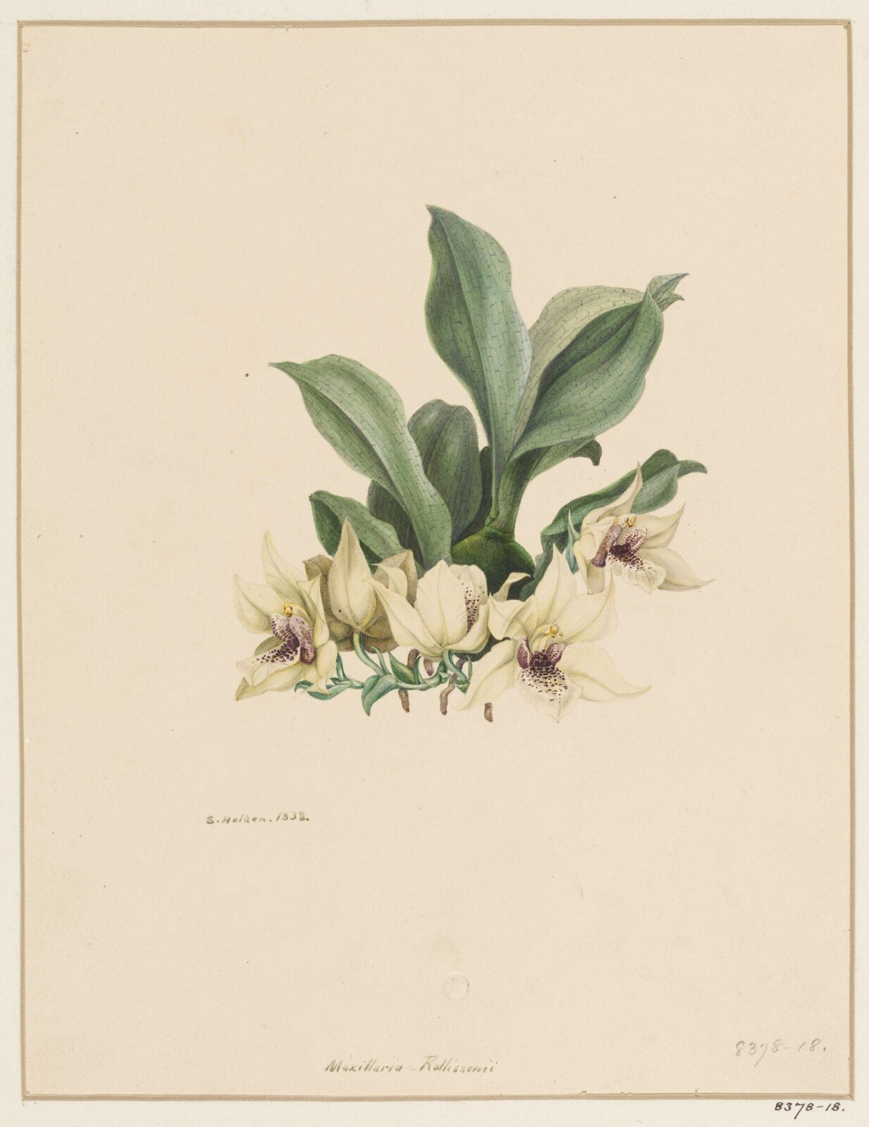 Drawing, Samuel Holden, 1838