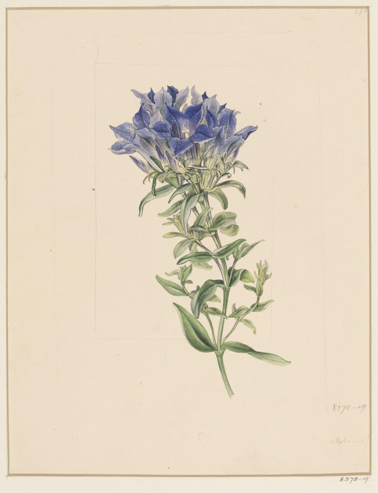 Drawing, Samuel Holden, 1837-47
