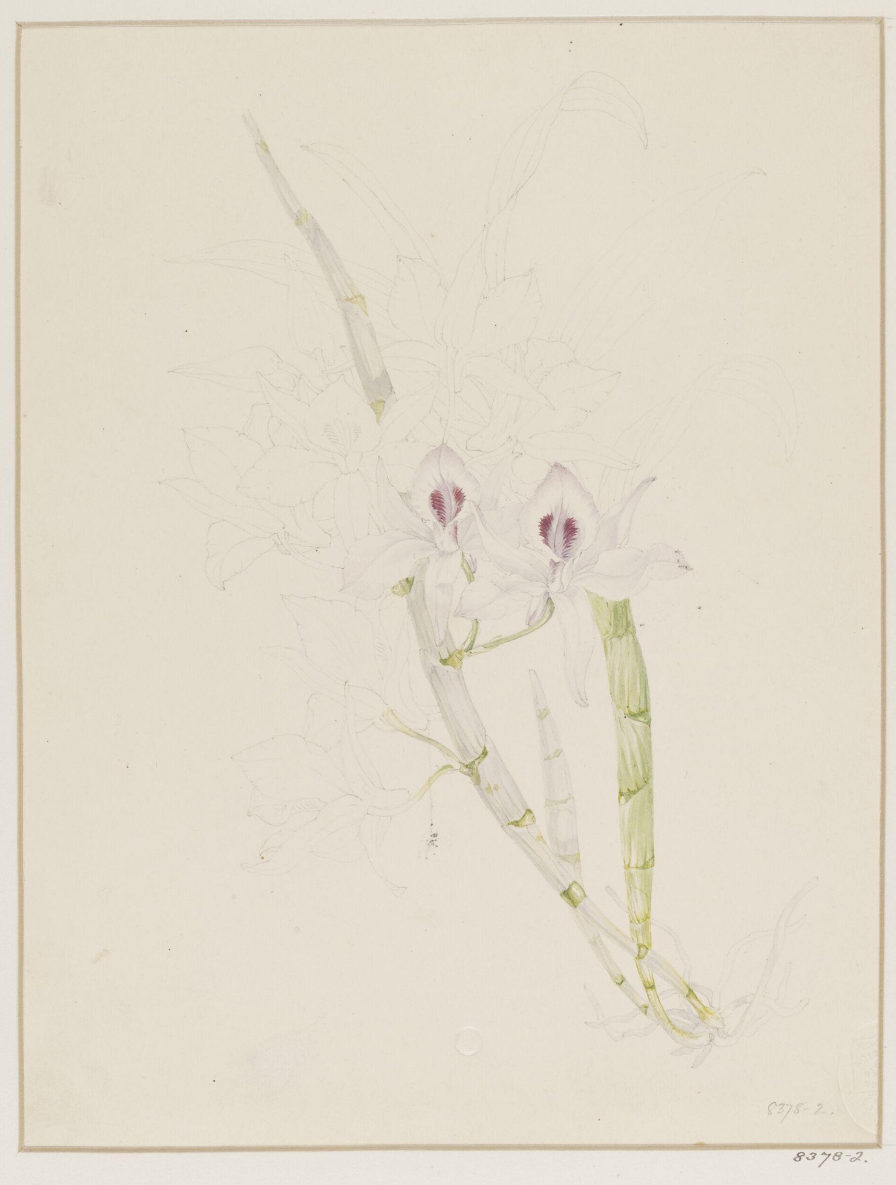 Drawing, Samuel Holden, 1837-47