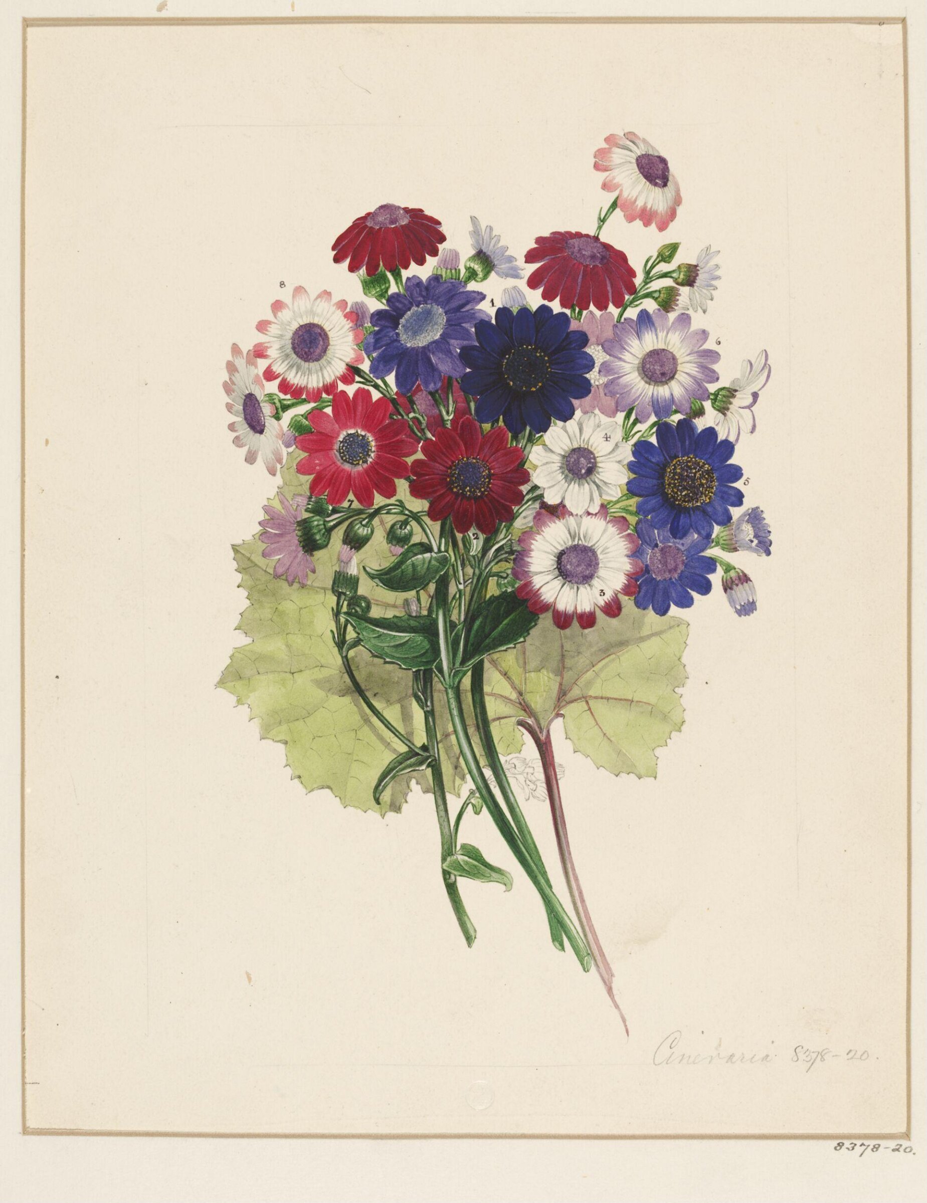 Drawing, Samuel Holden, 1837-47