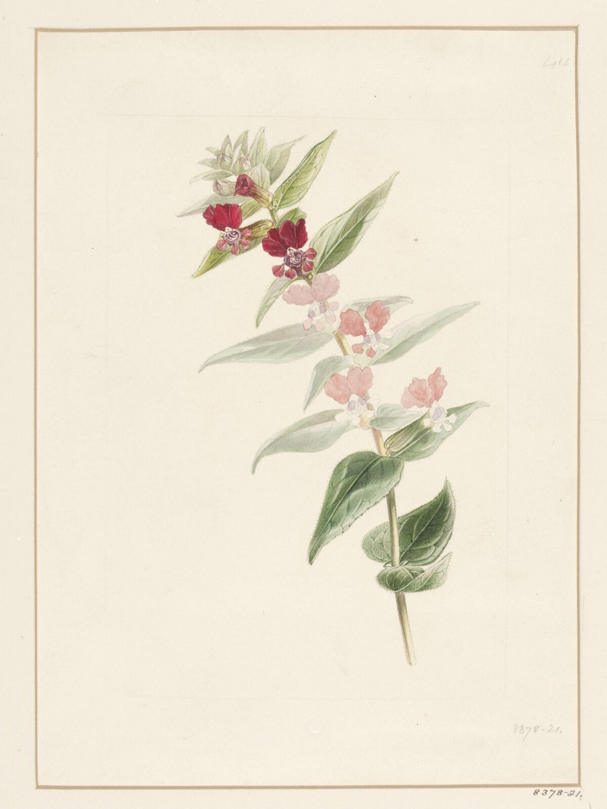 Drawing, Samuel Holden, 1837-47
