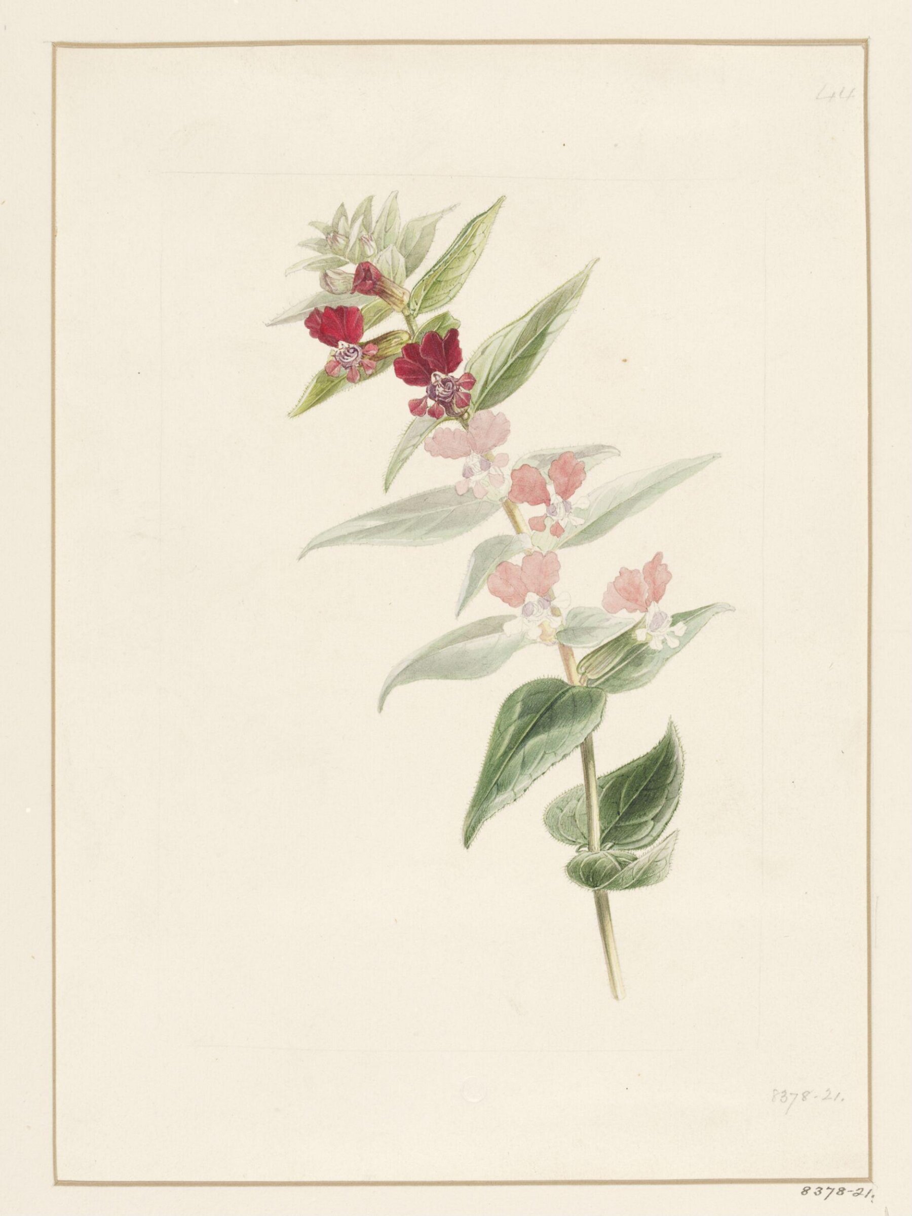 Drawing, Samuel Holden, 1837-47