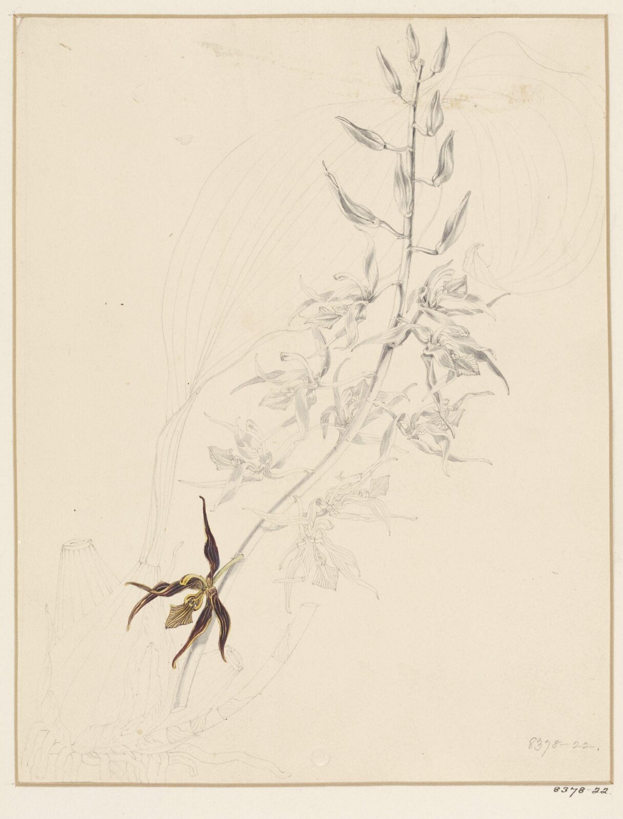 Drawing, Samuel Holden, 1837-47