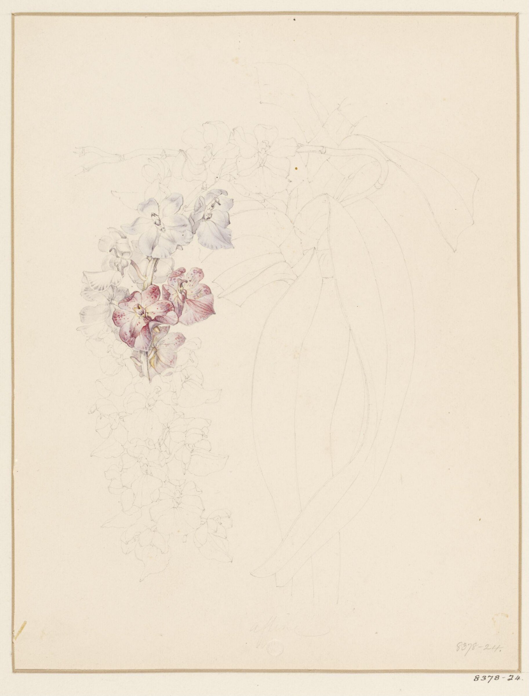 Drawing, Samuel Holden, 1837-47
