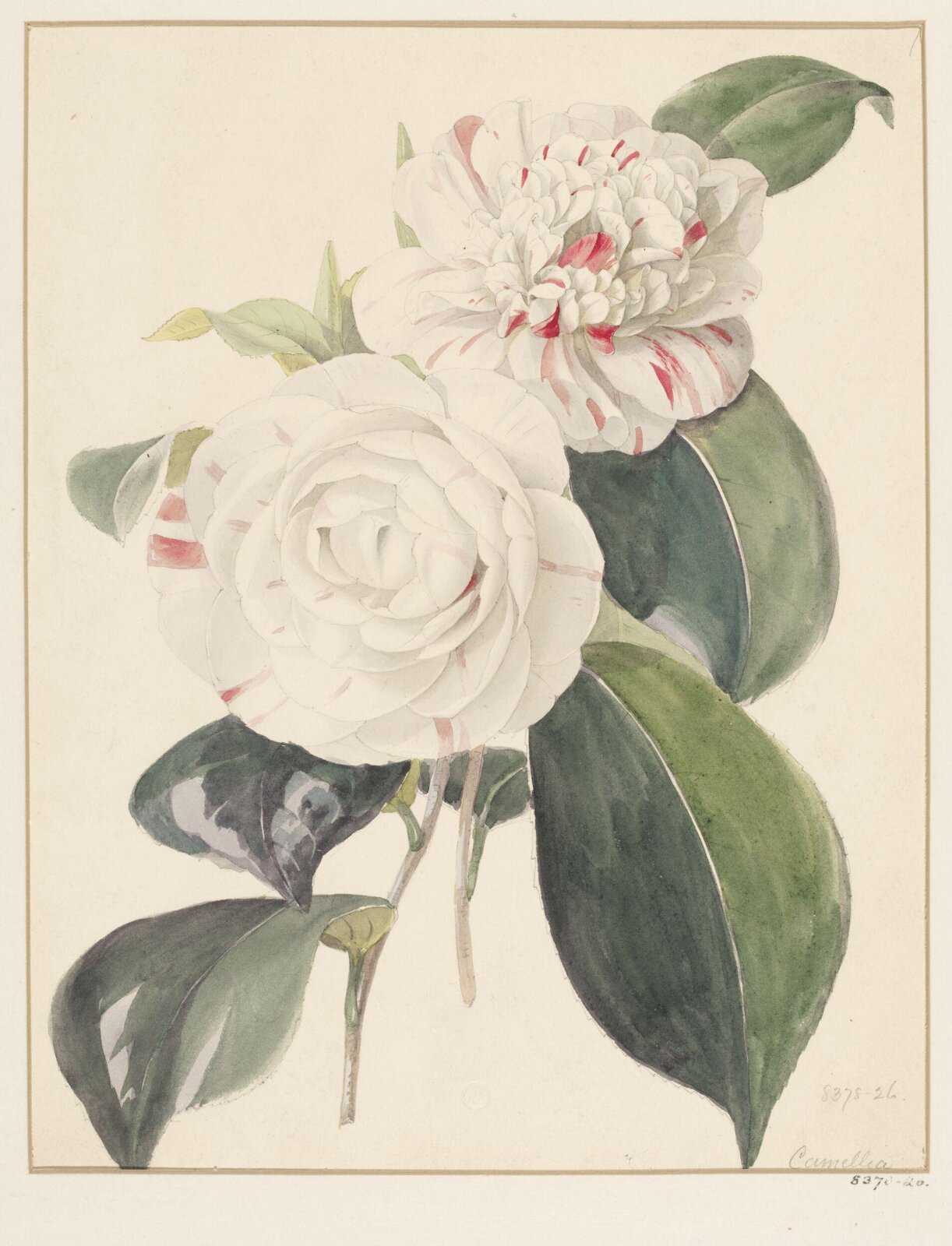 Drawing, Samuel Holden, 1837-47