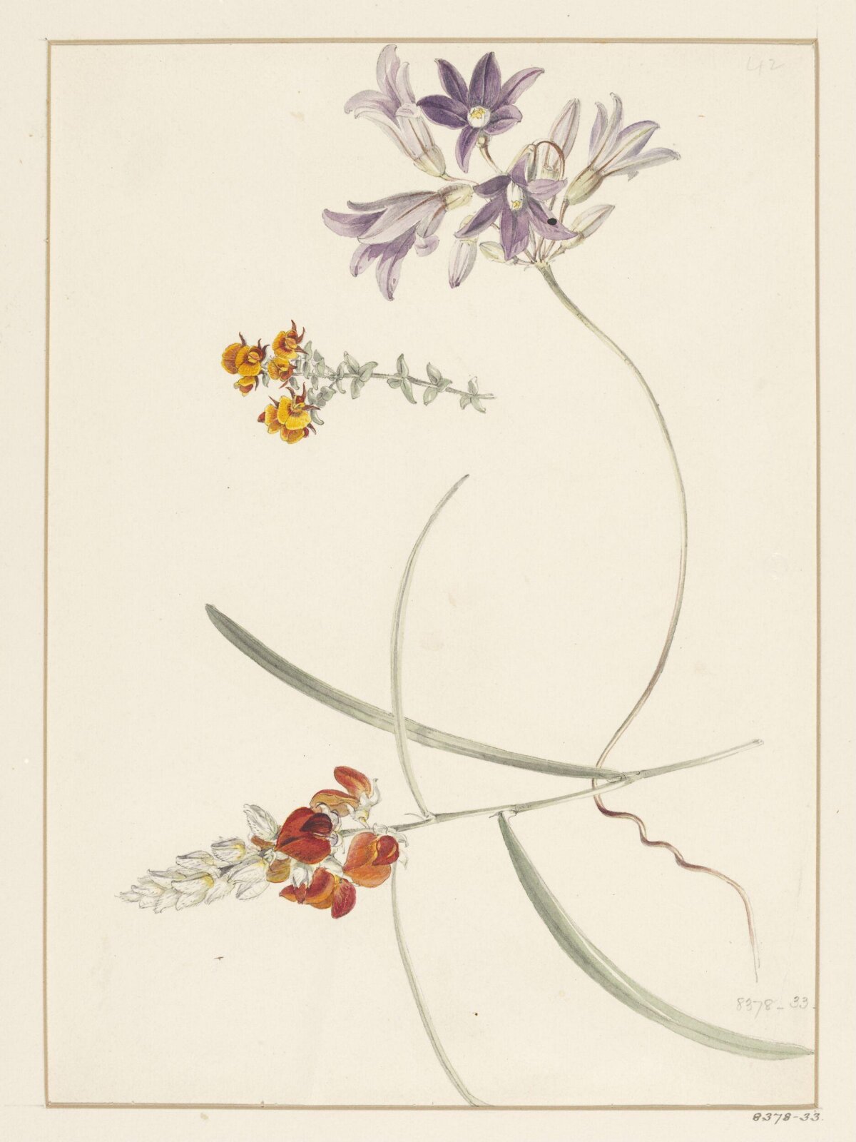 Drawing, Samuel Holden, 1837-47