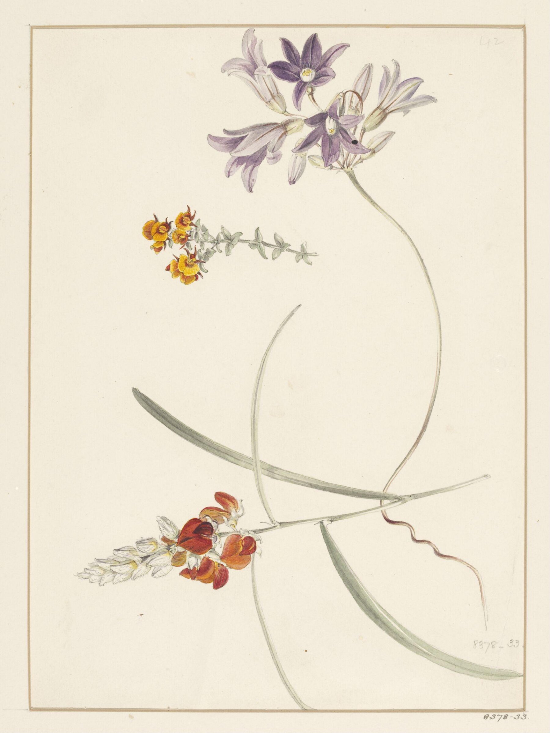 Drawing, Samuel Holden, 1837-47