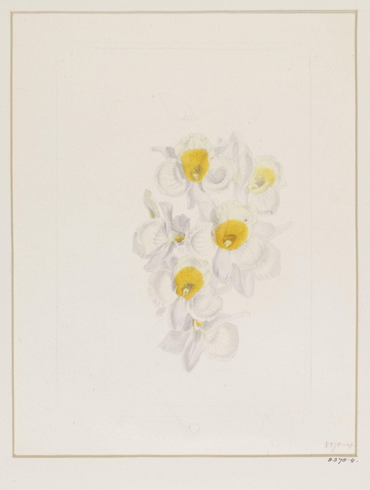 Drawing, Samuel Holden, 1837-47