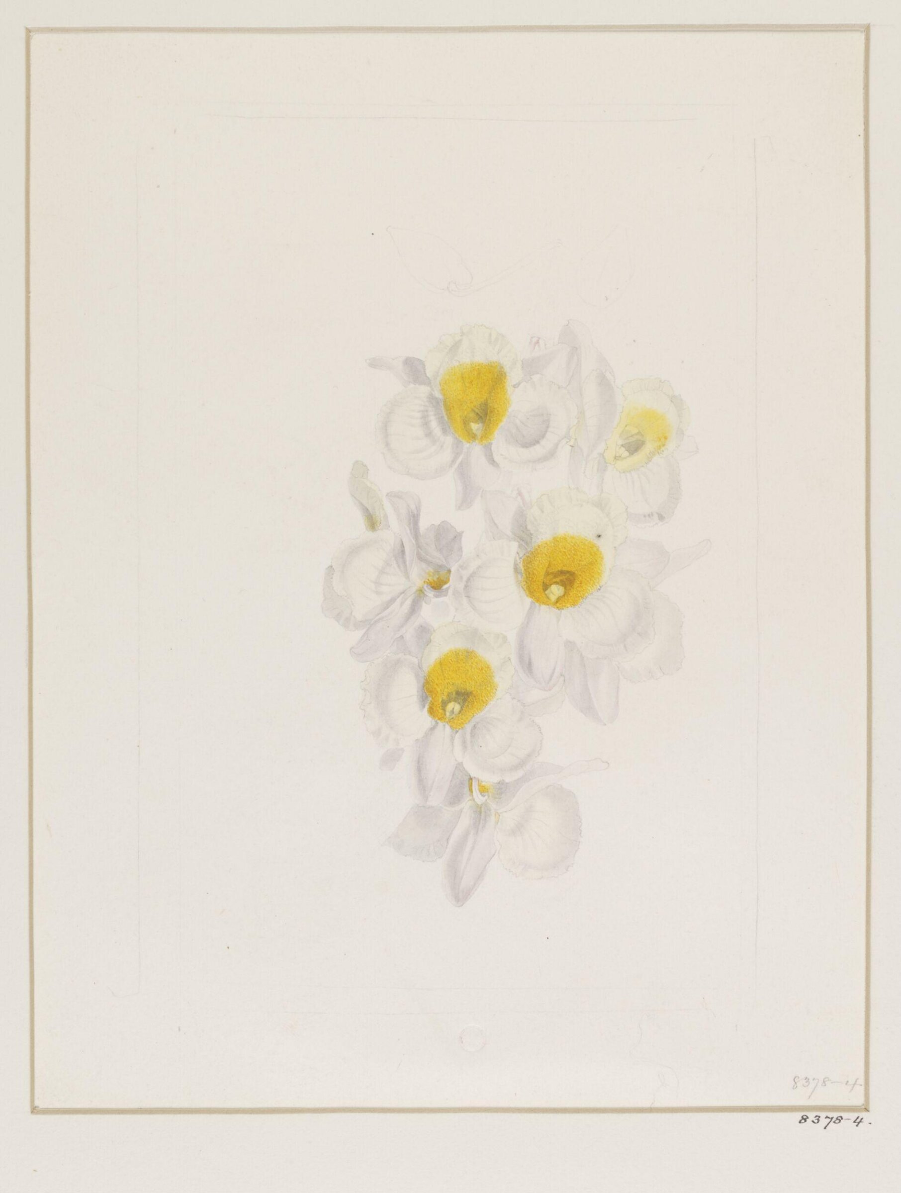 Drawing, Samuel Holden, 1837-47