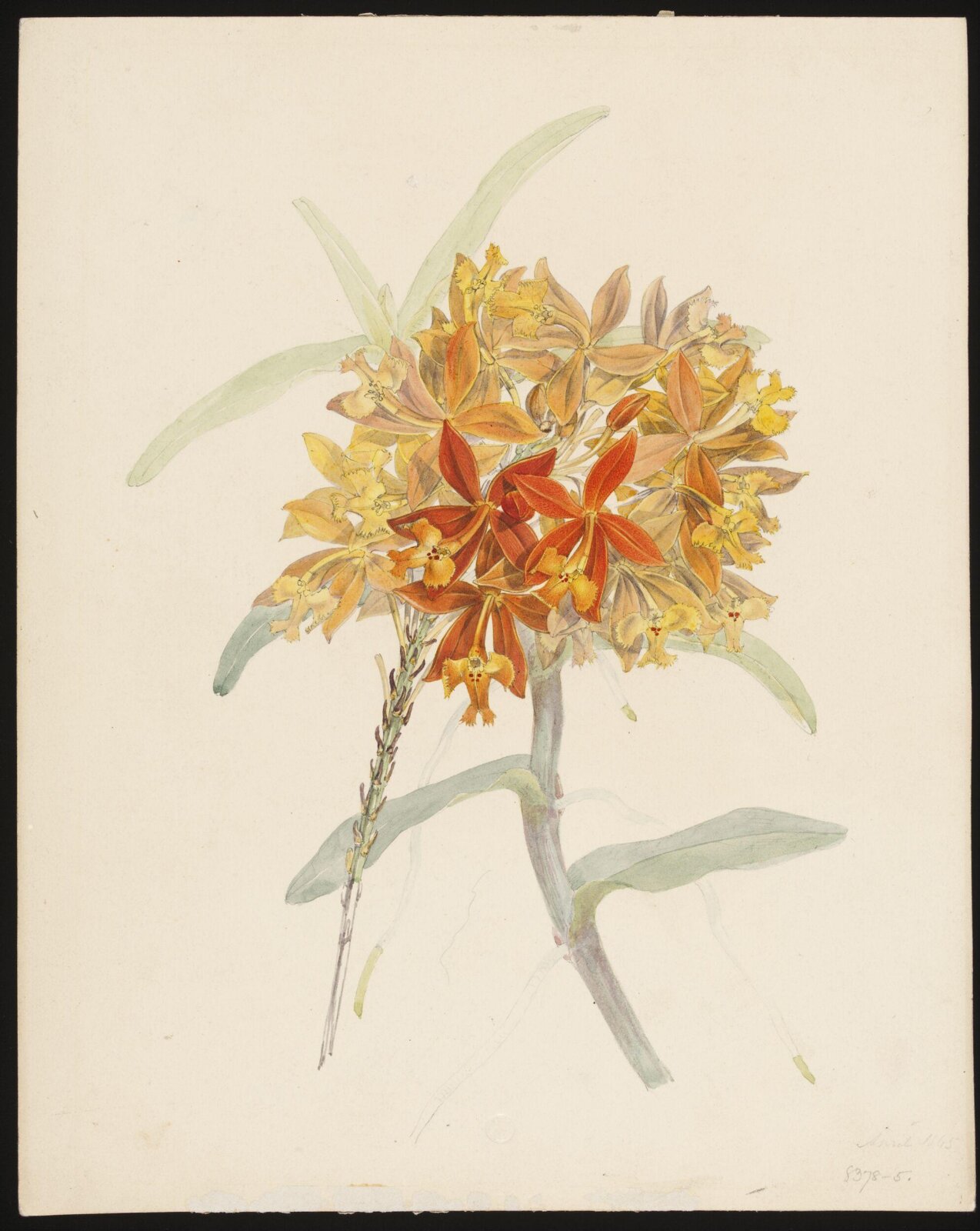 Drawing, Samuel Holden, April 1845
