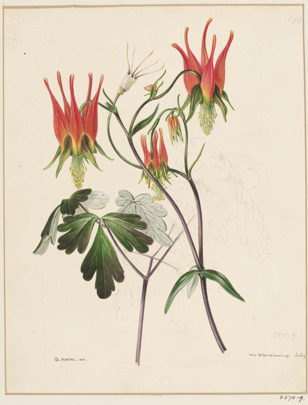 Drawing, Samuel Holden, July 1843