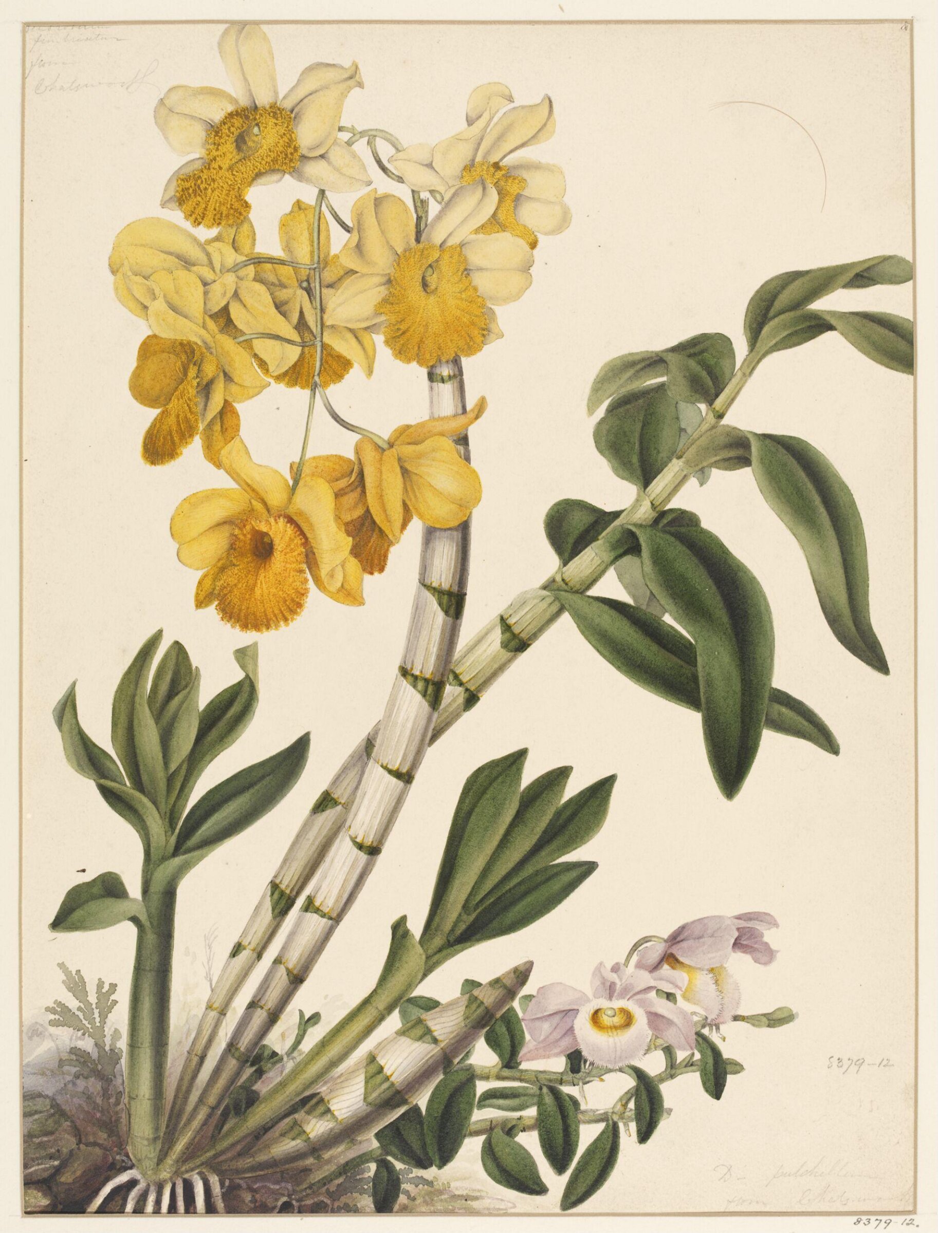 Drawing, Samuel Holden, 1837-47