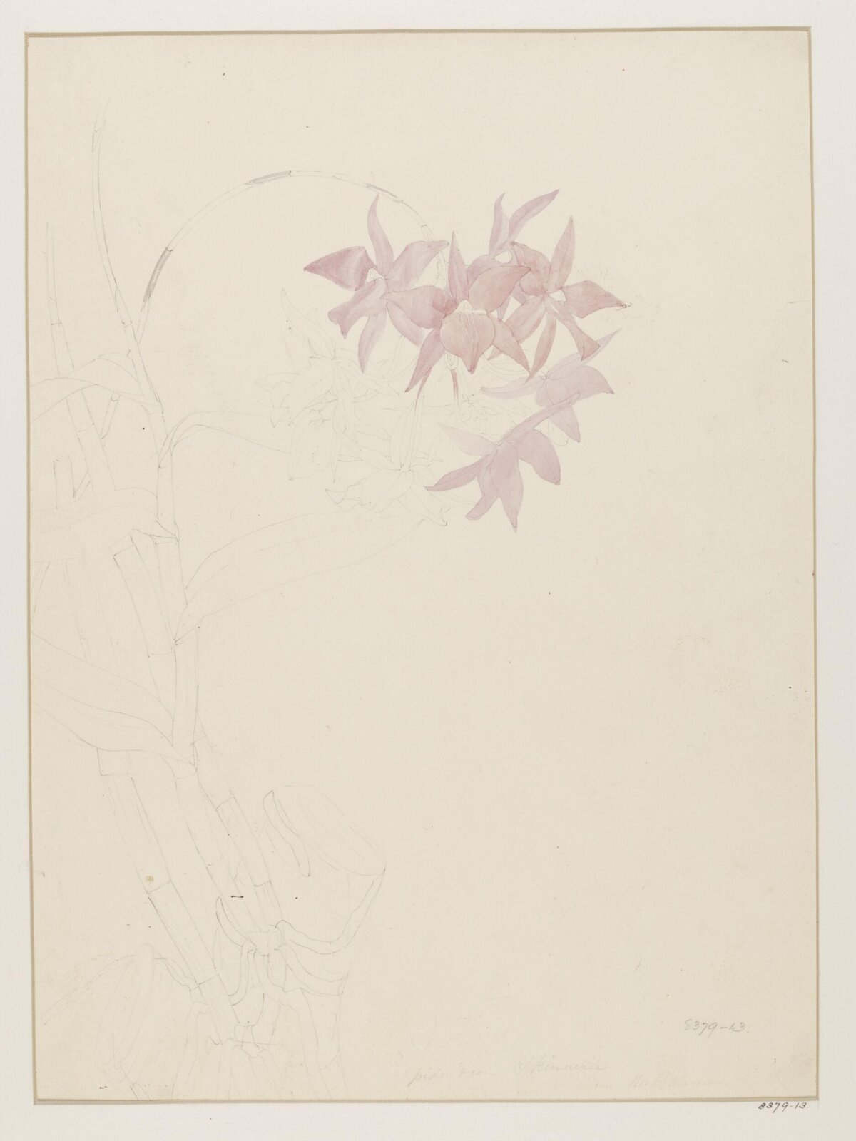 Drawing, Samuel Holden, 1837-47