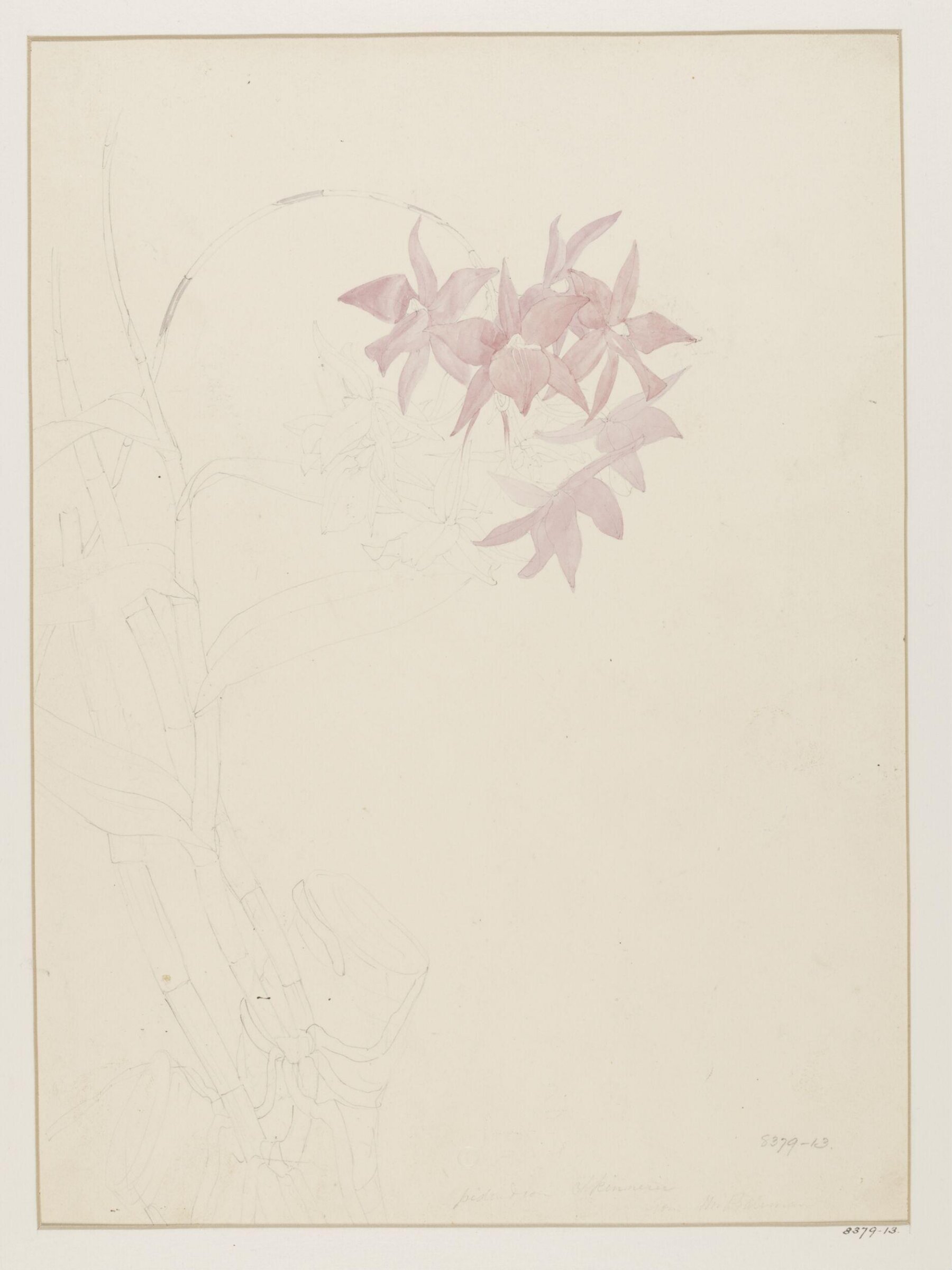 Drawing, Samuel Holden, 1837-47