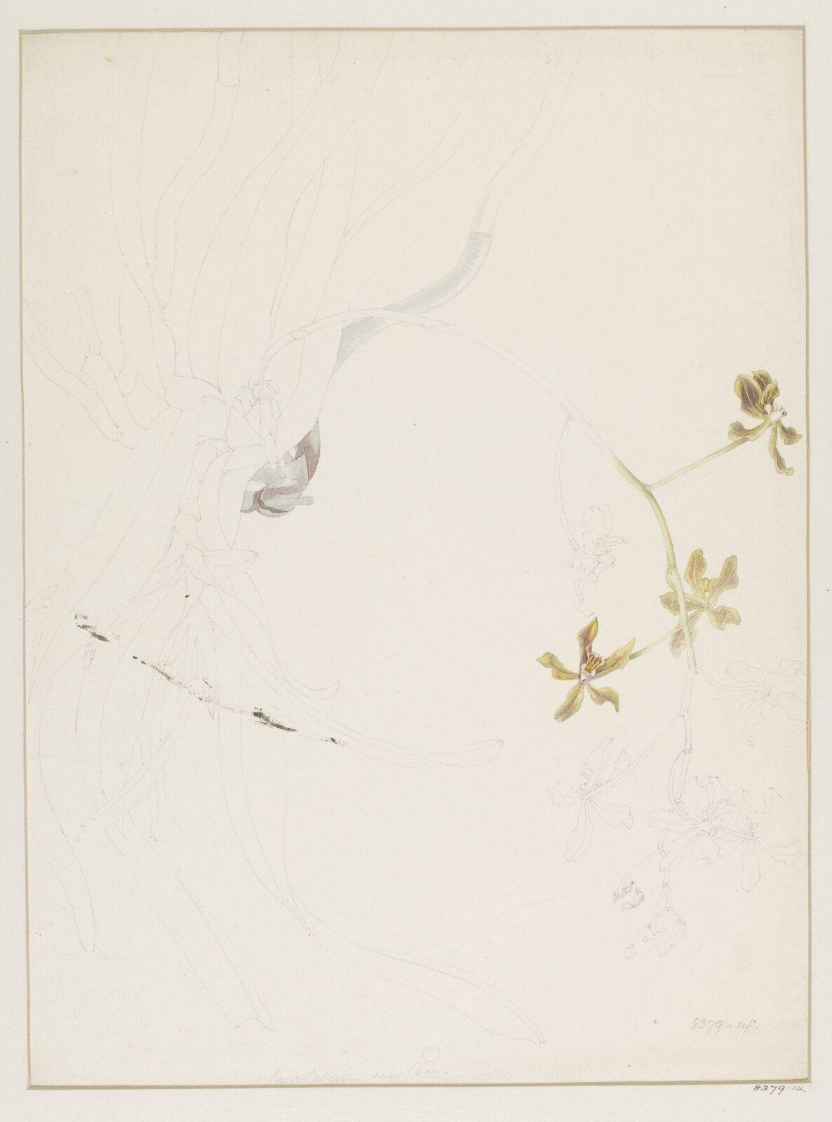Drawing, Samuel Holden, 1837-47