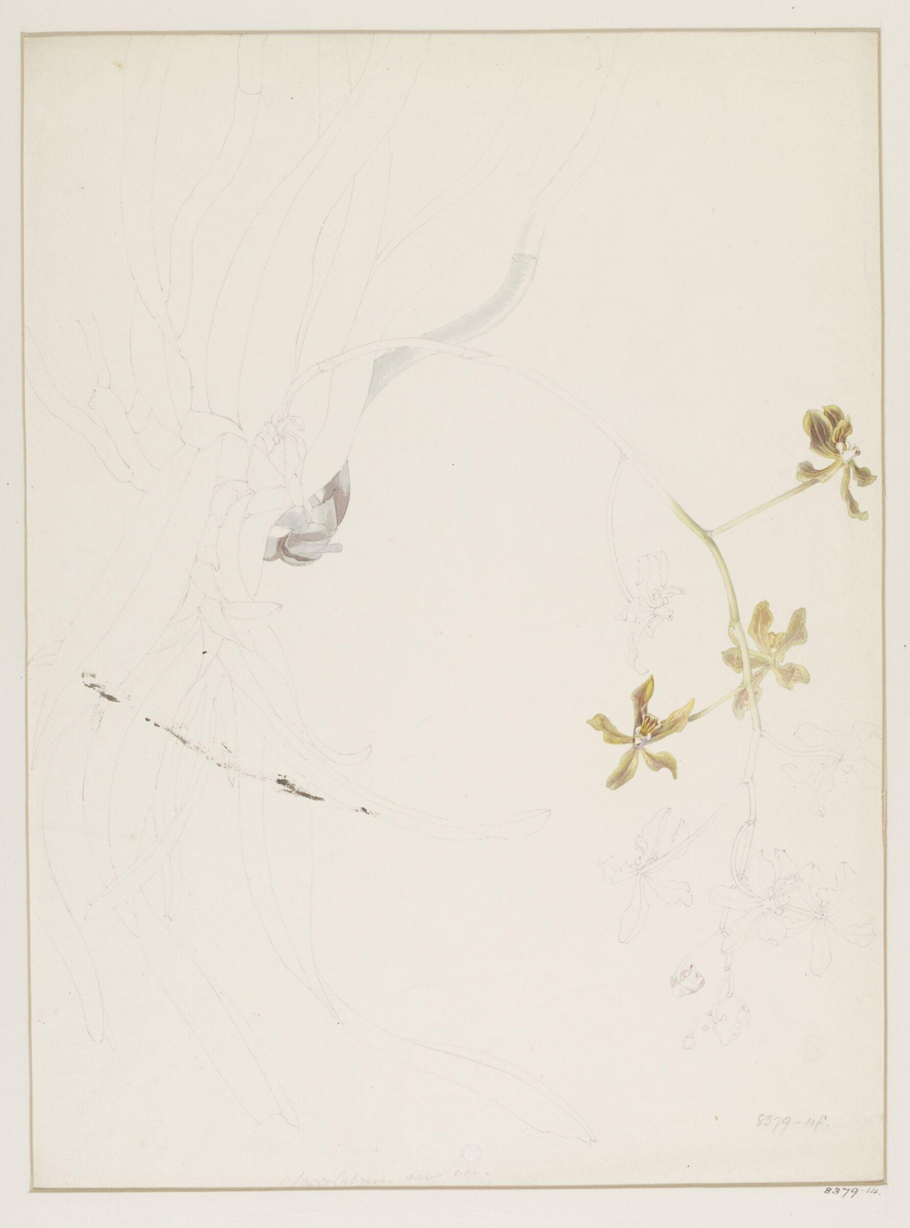 Drawing, Samuel Holden, 1837-47