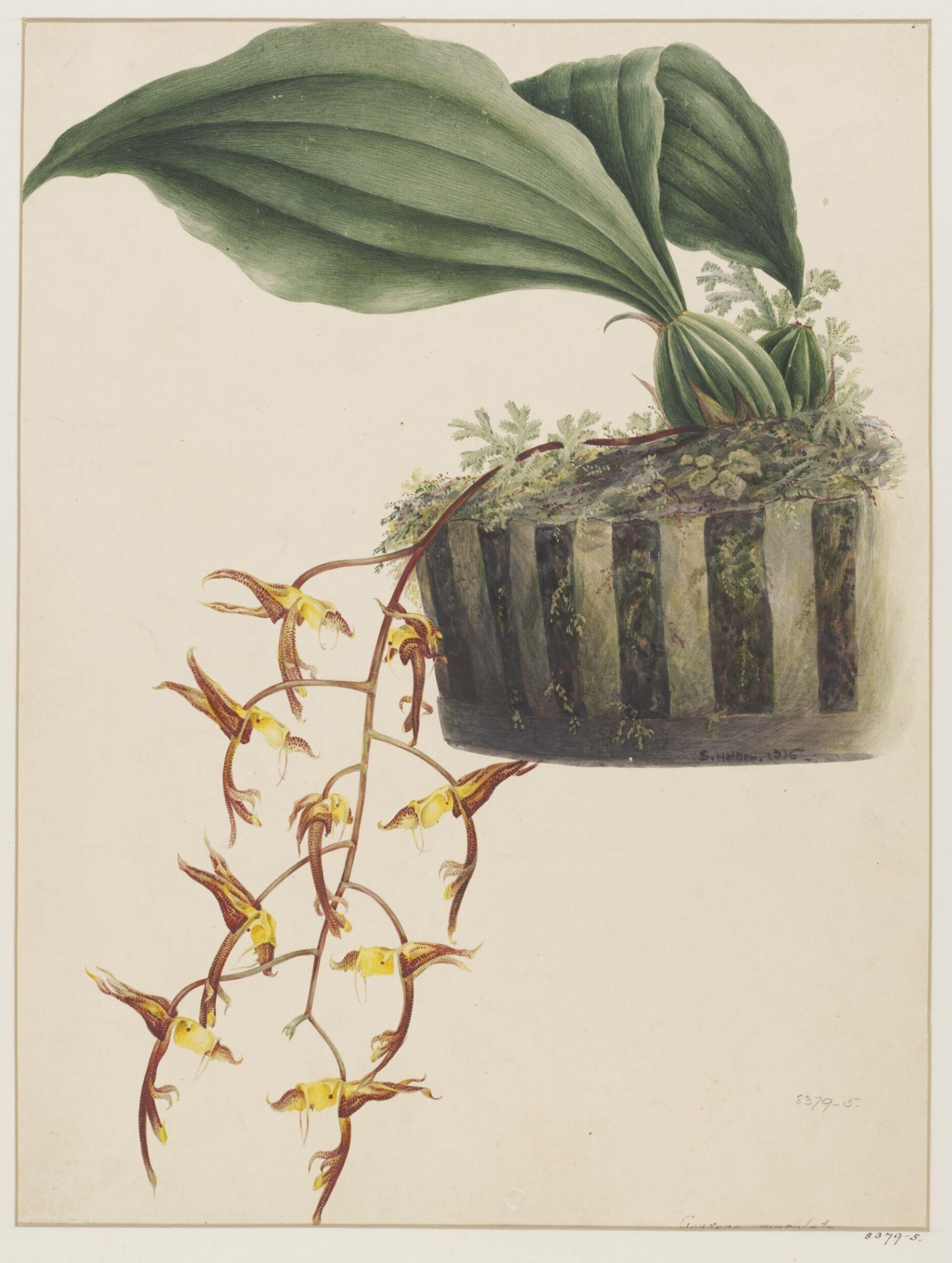 Drawing, Samuel Holden, 1836
