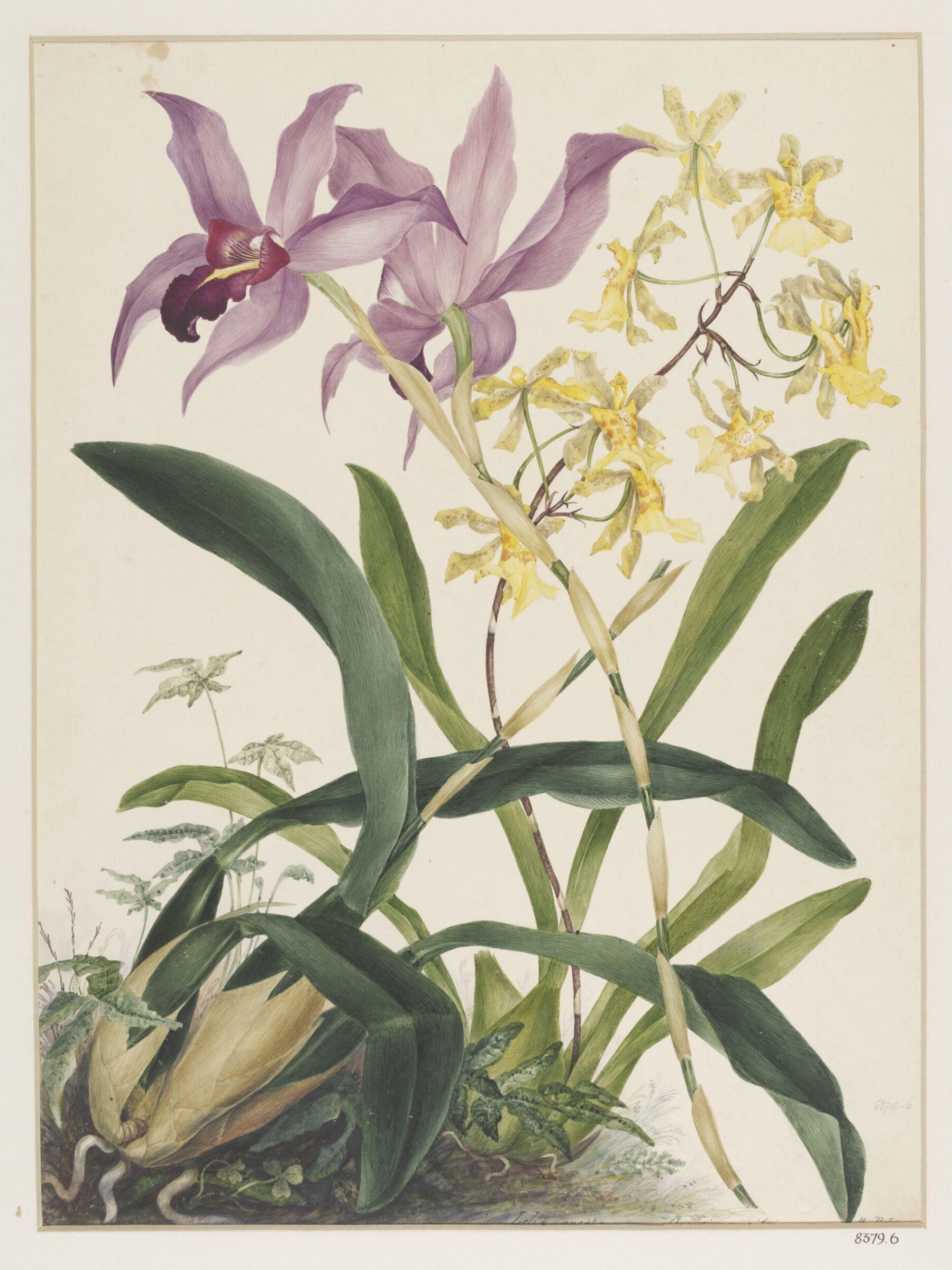 Drawing, Samuel Holden, 1837-47