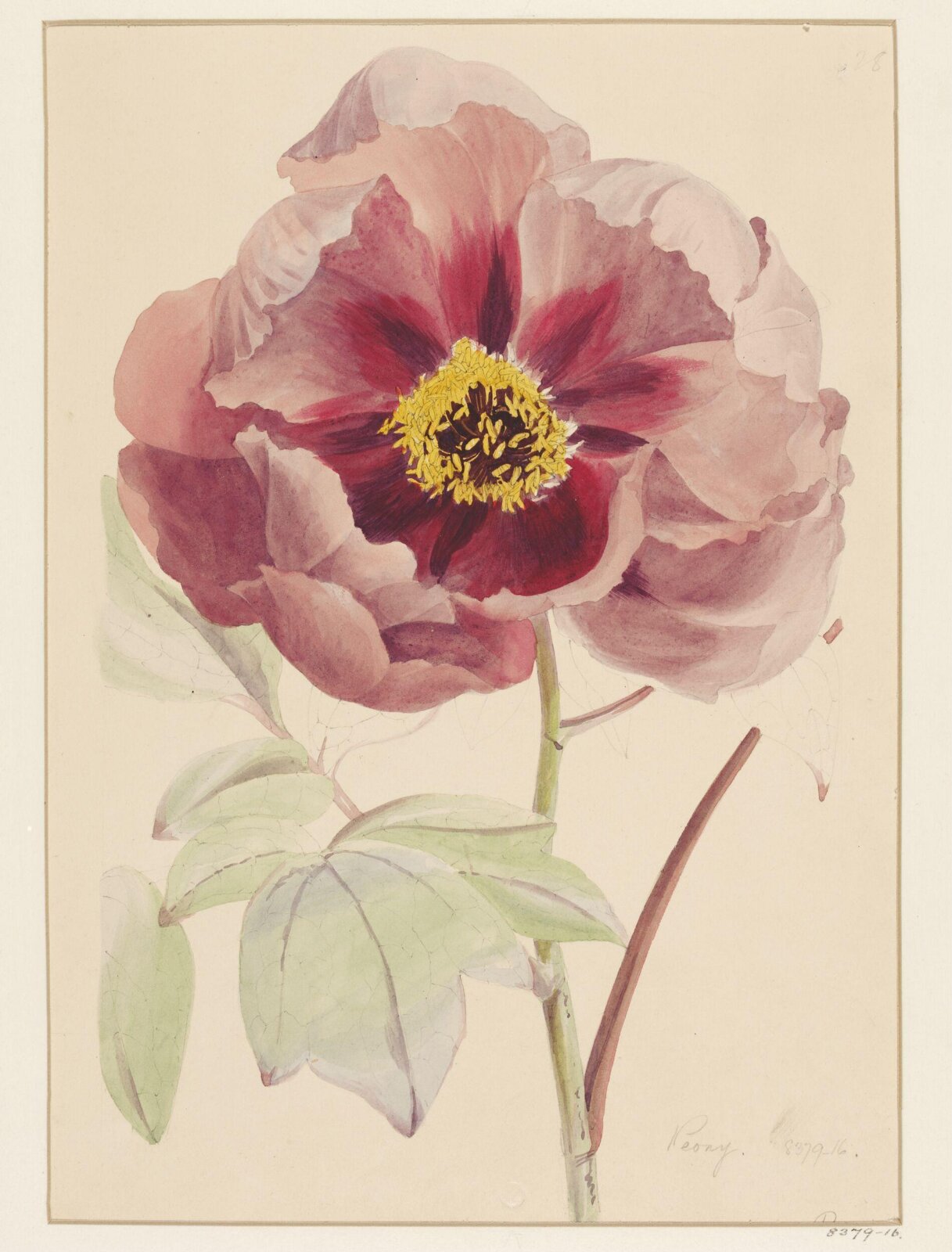 Drawing, Samuel Holden, 1837-47