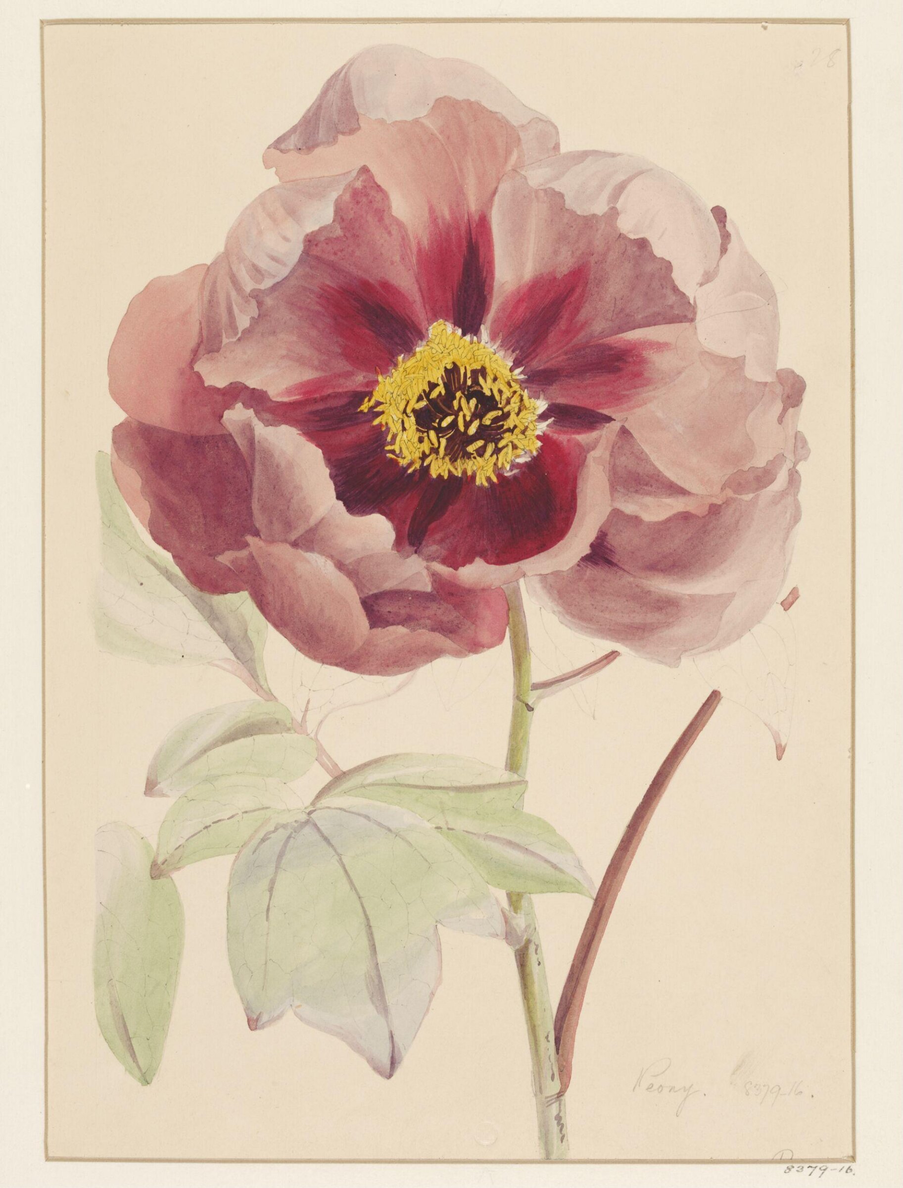 Drawing, Samuel Holden, 1837-47